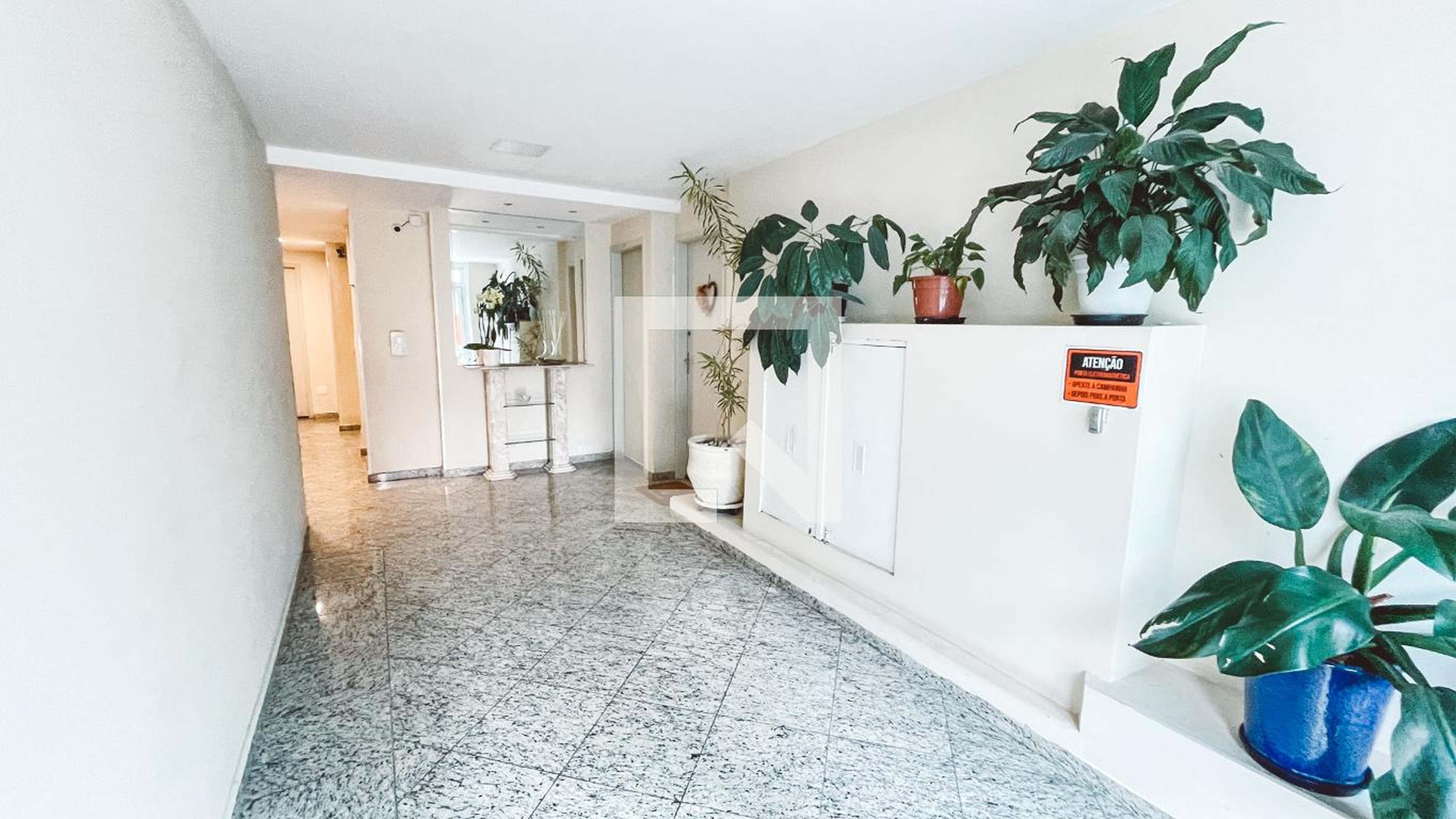 Hall de entrada - Silvana Maria