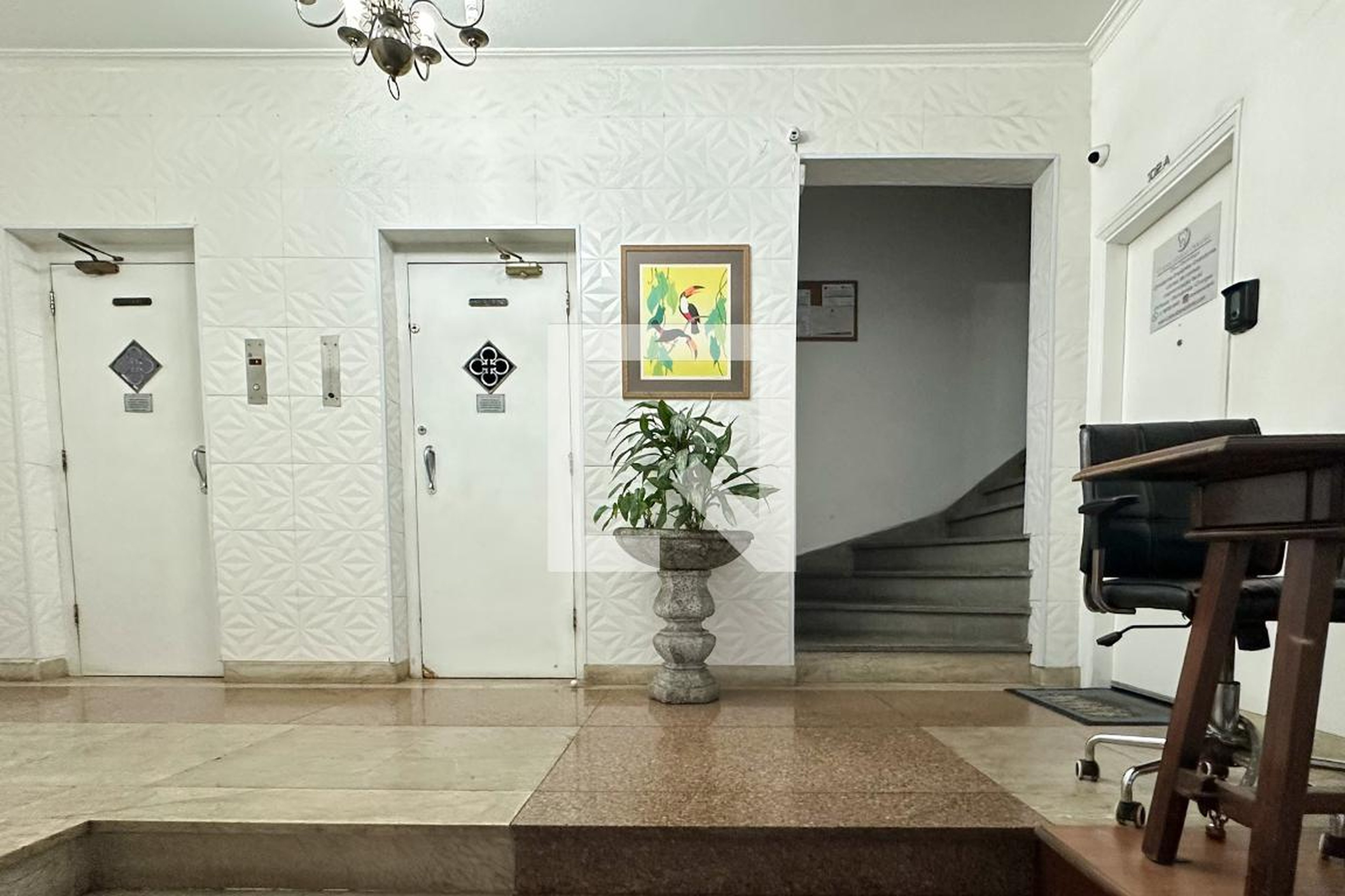 Entrada - Dulce Ortiz