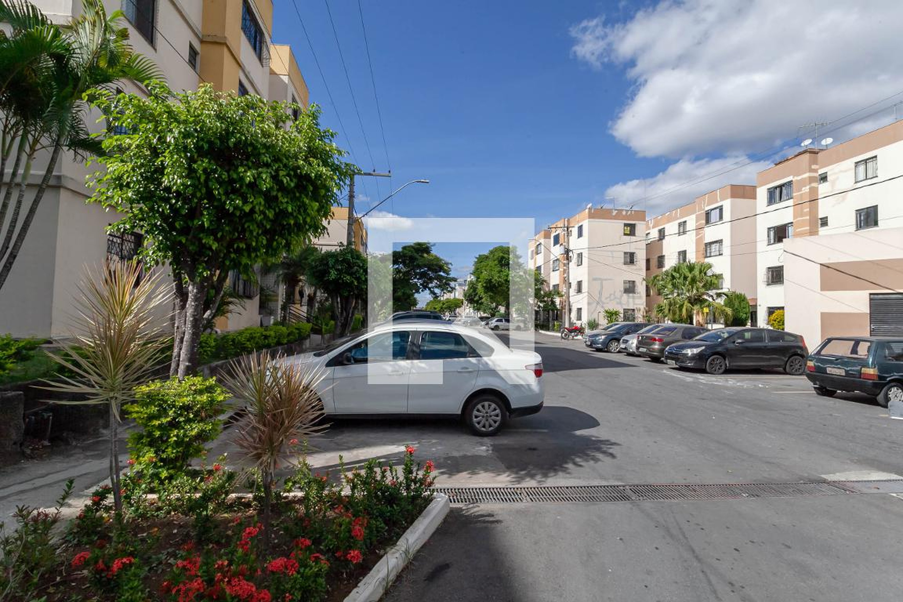 Entrada - Maria Stella