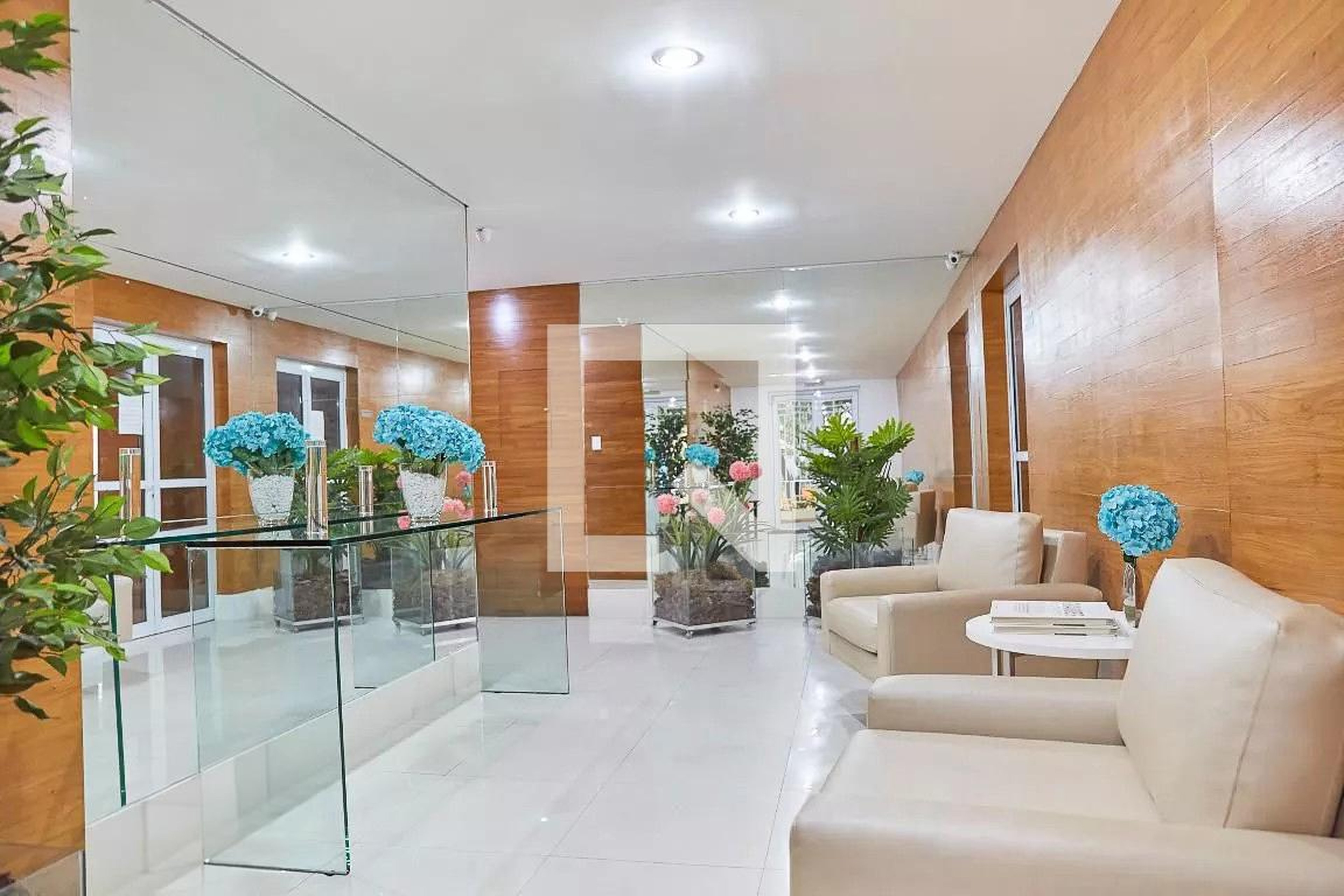 Hall - Image Alto da Lapa