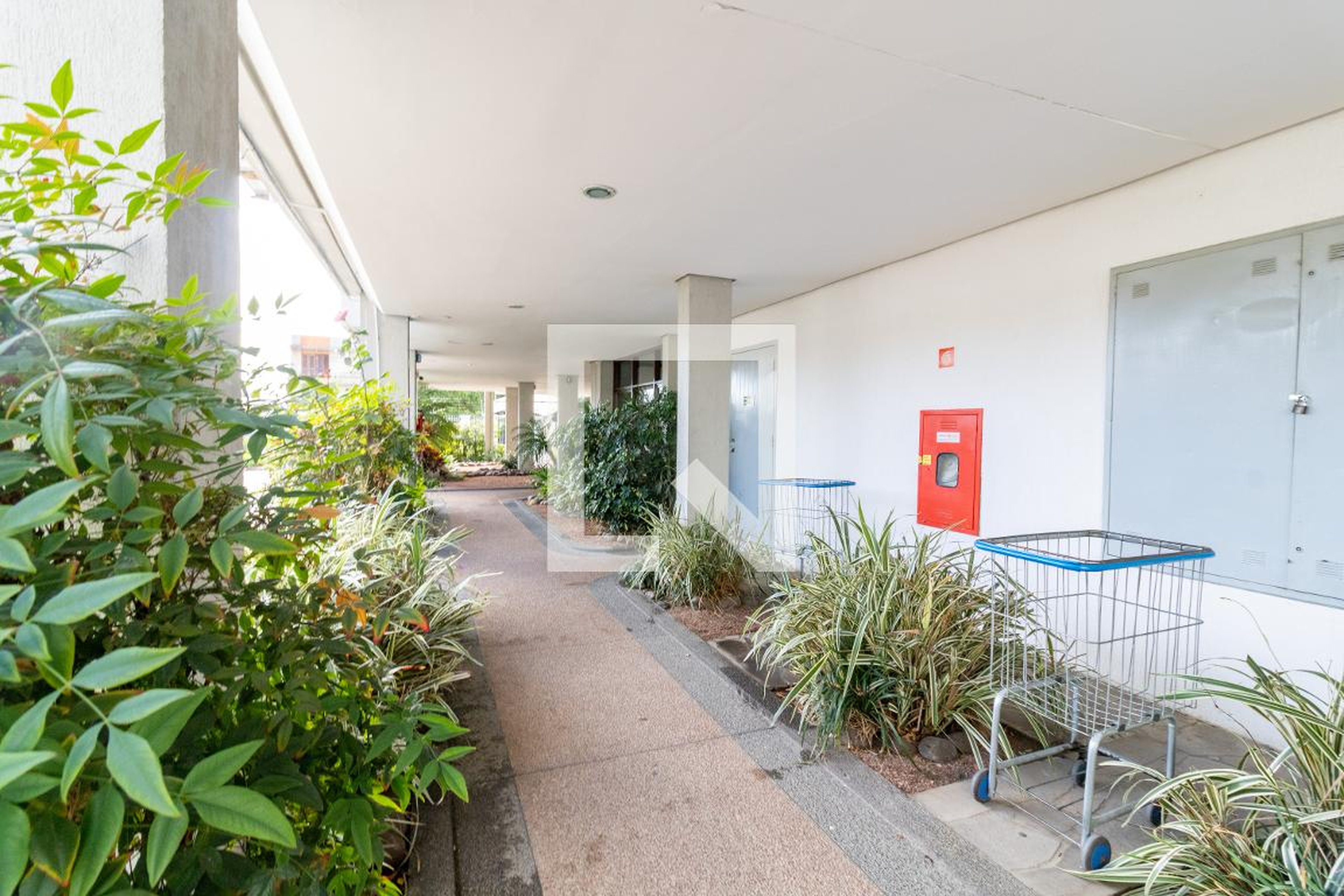 Área comum - Vicent Van Gogh