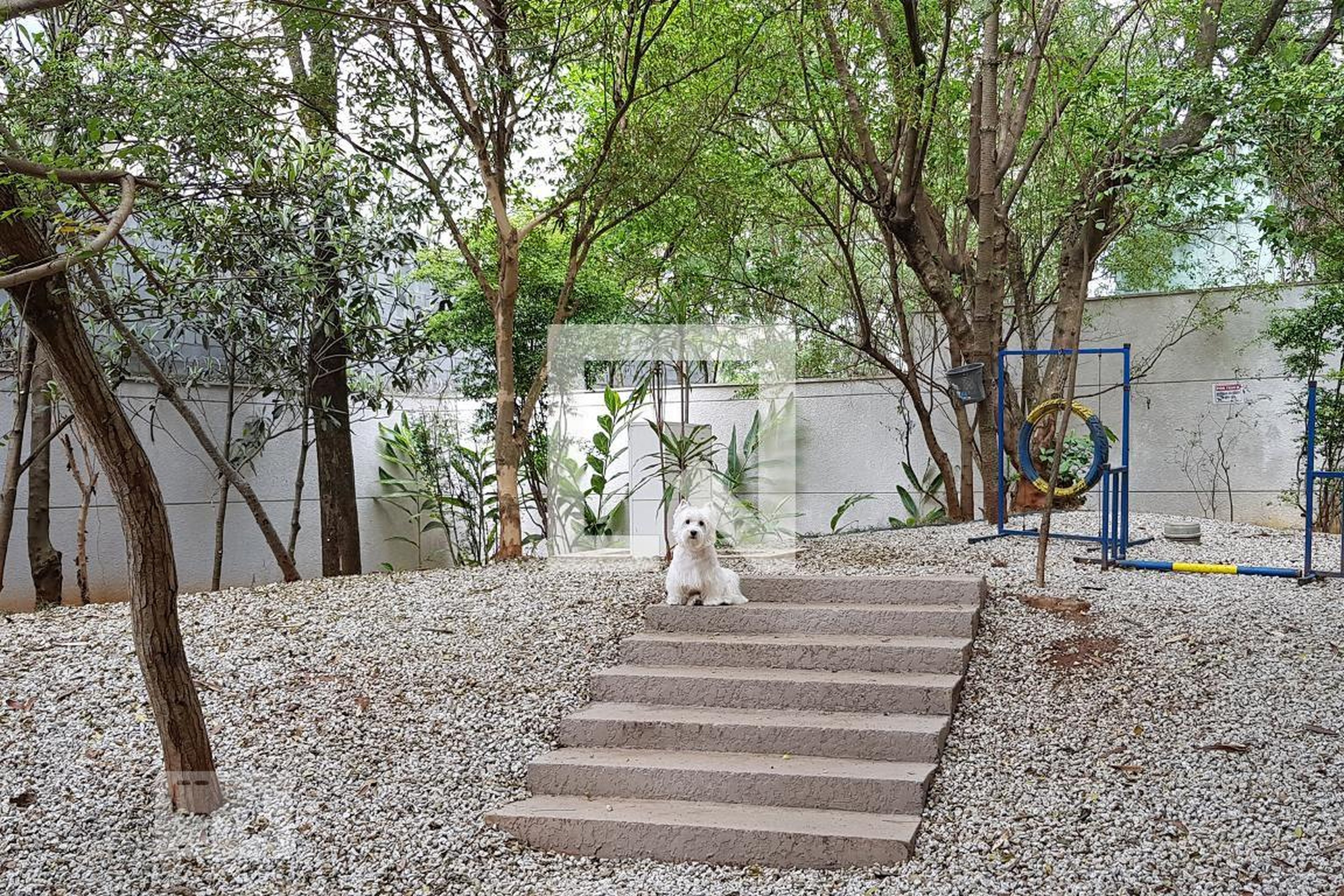 Espaço Pet - Still Vila Mascote