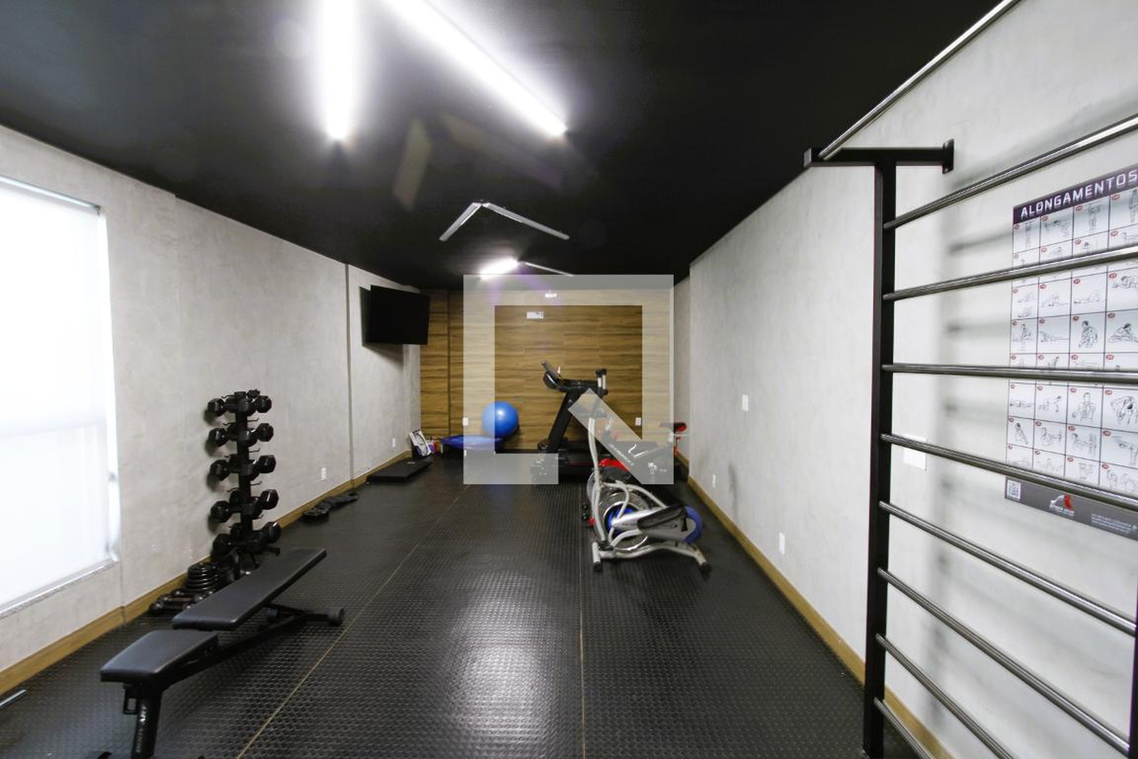 Academia - Elisa Tito