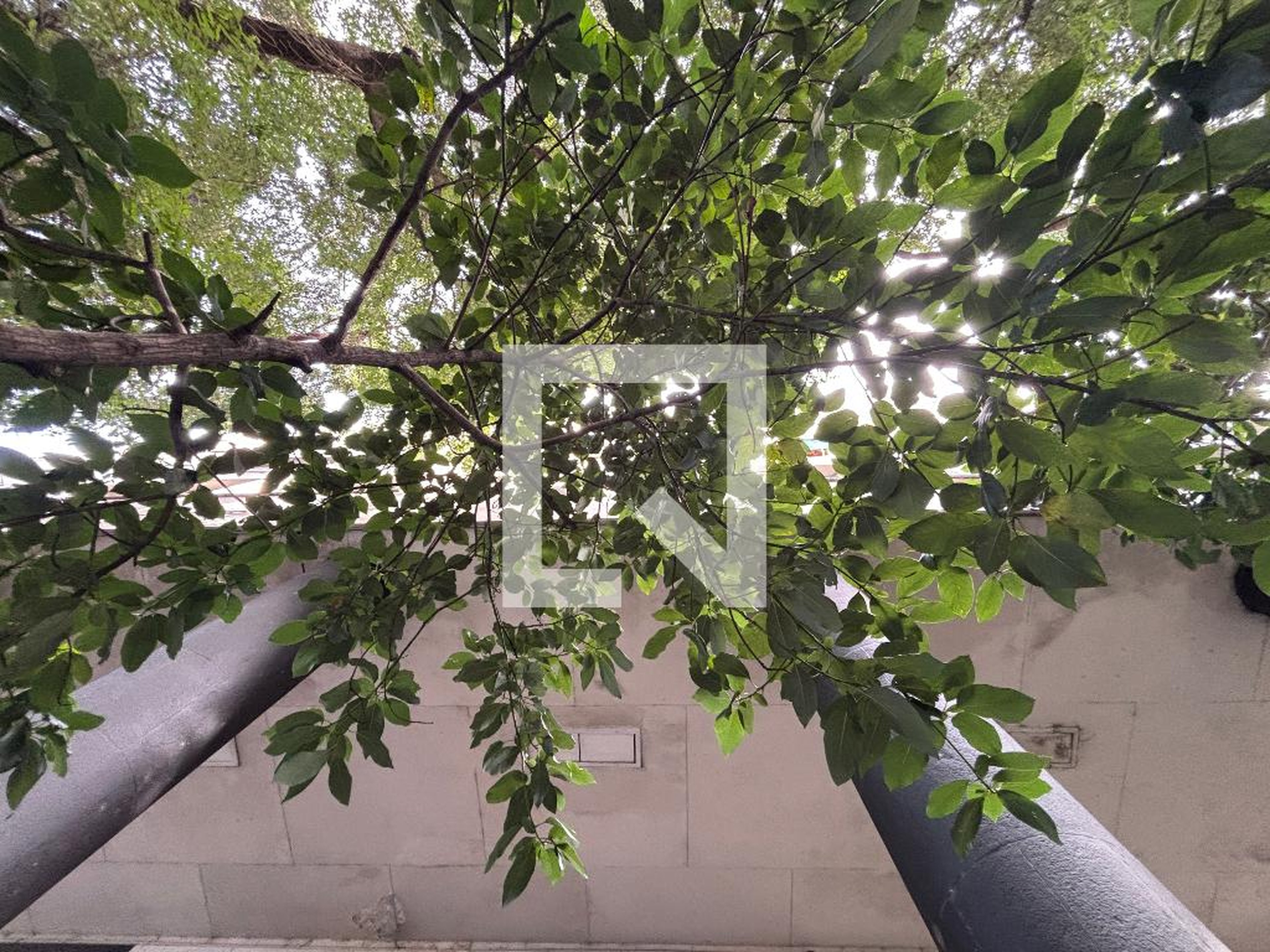 Fachada Edifício Farani