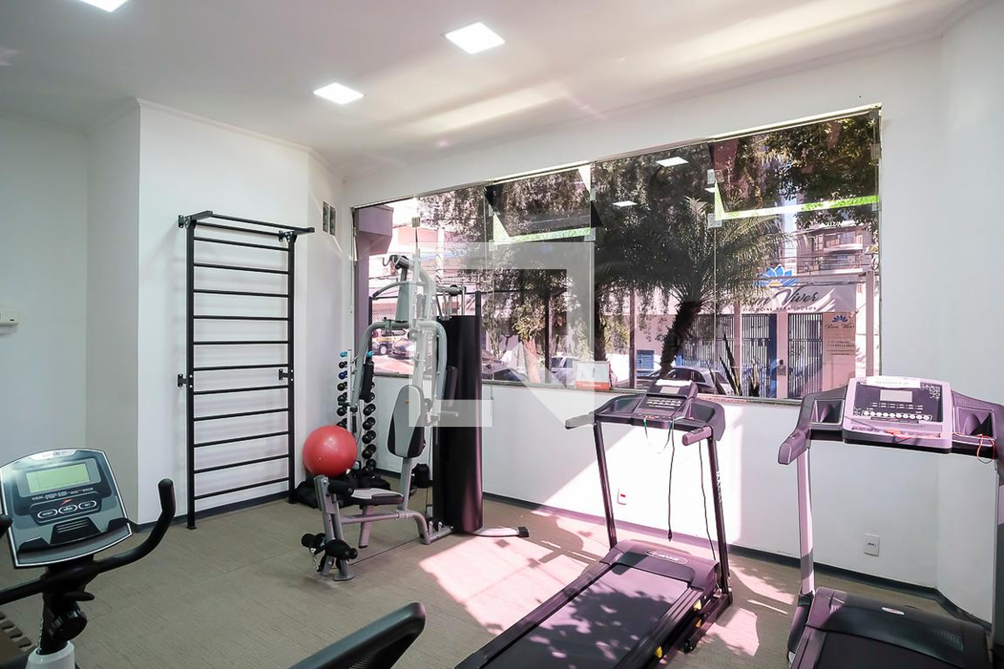 Academia - João Nicolau Braido