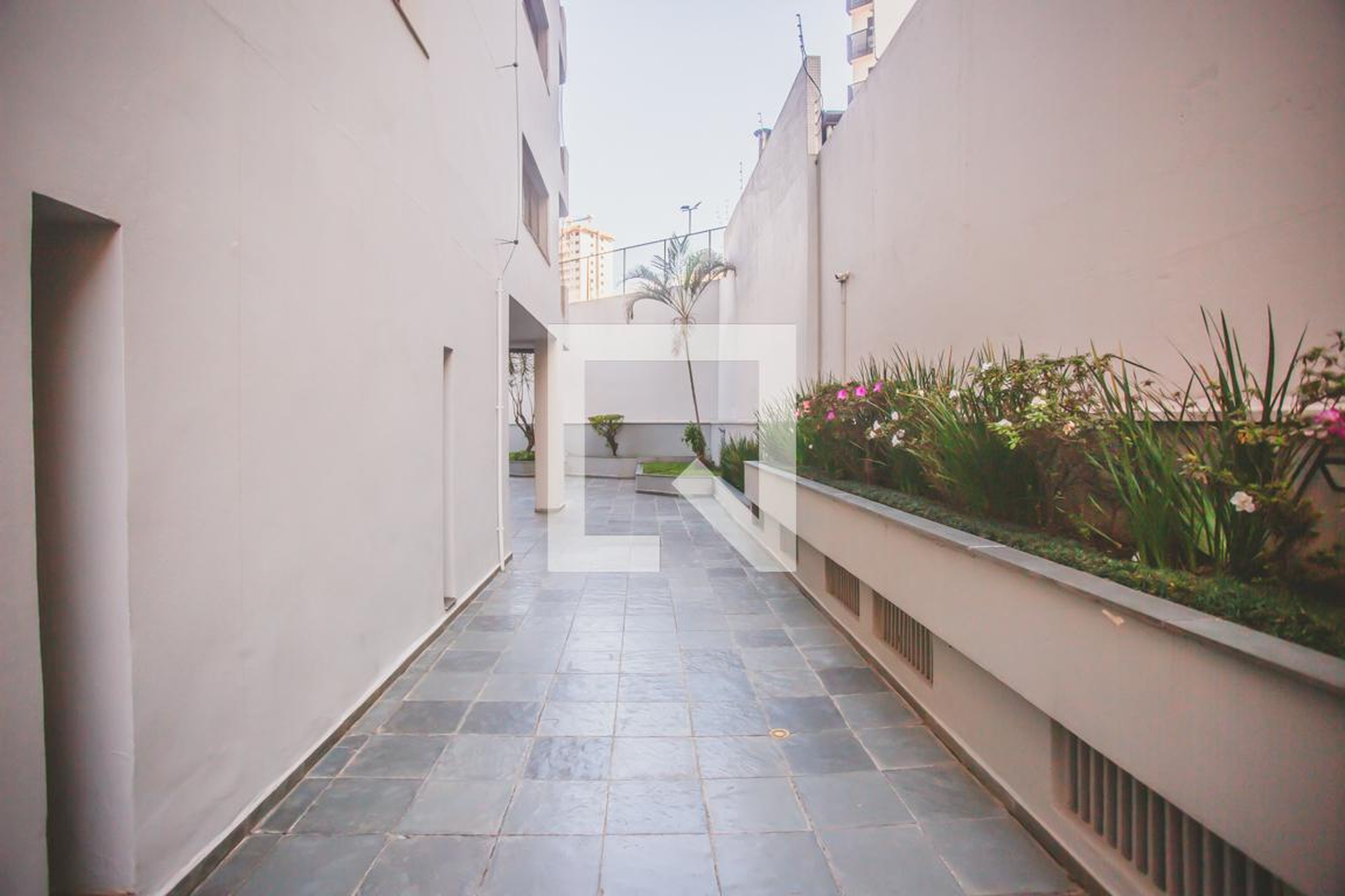 Área comum - Cotovias