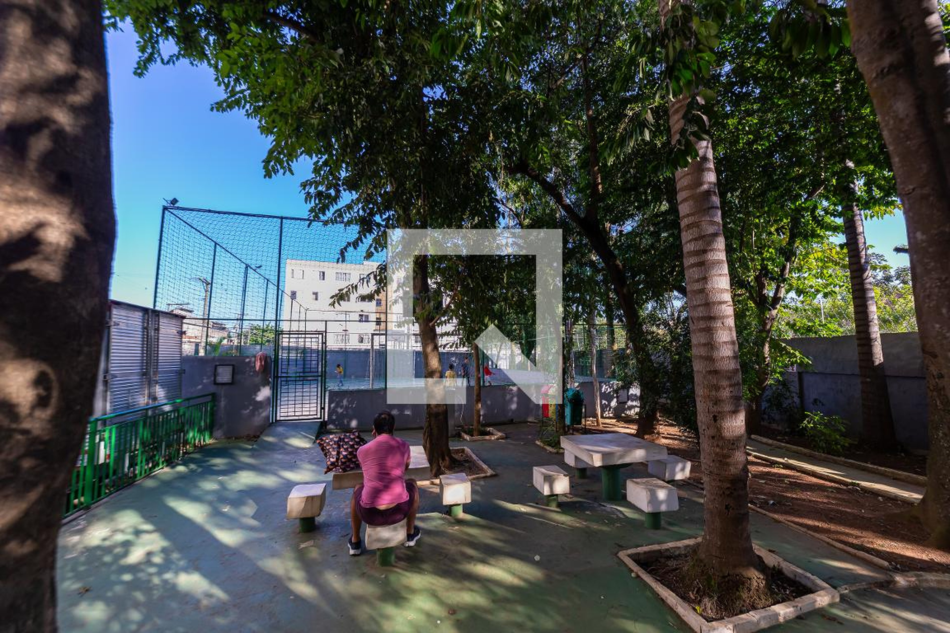 Quadra - Águia de Haia