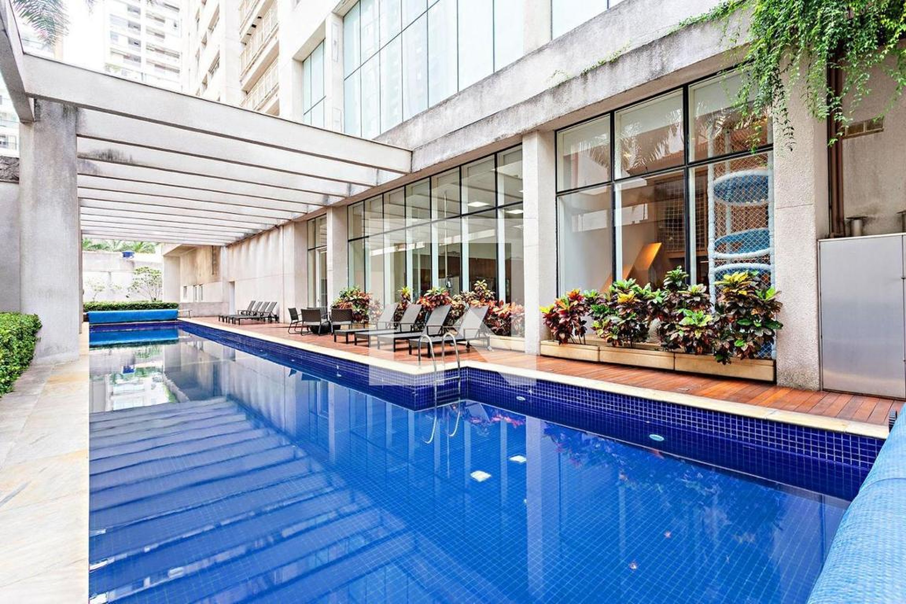 Piscina - Benedito Lapin