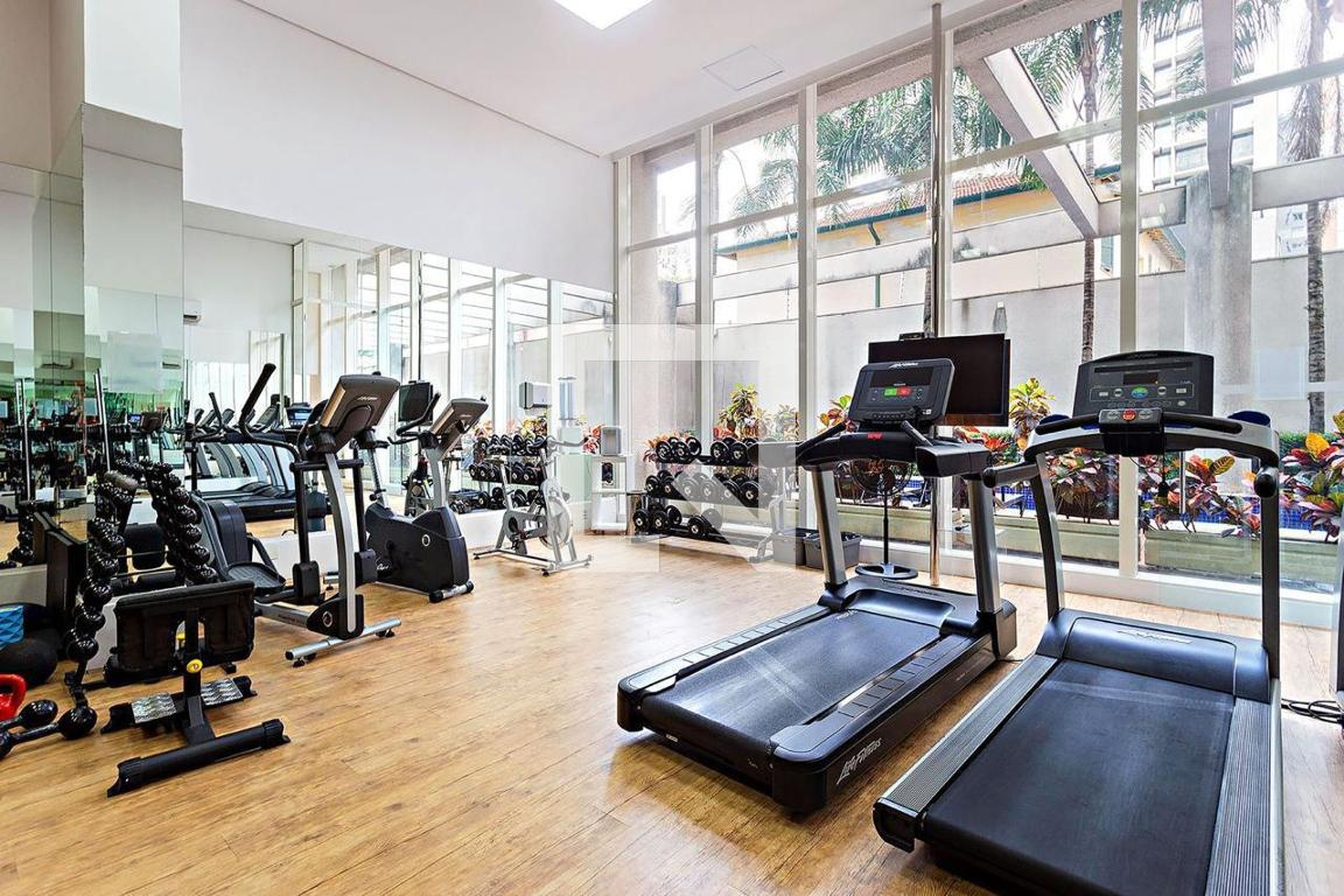 Academia - Benedito Lapin