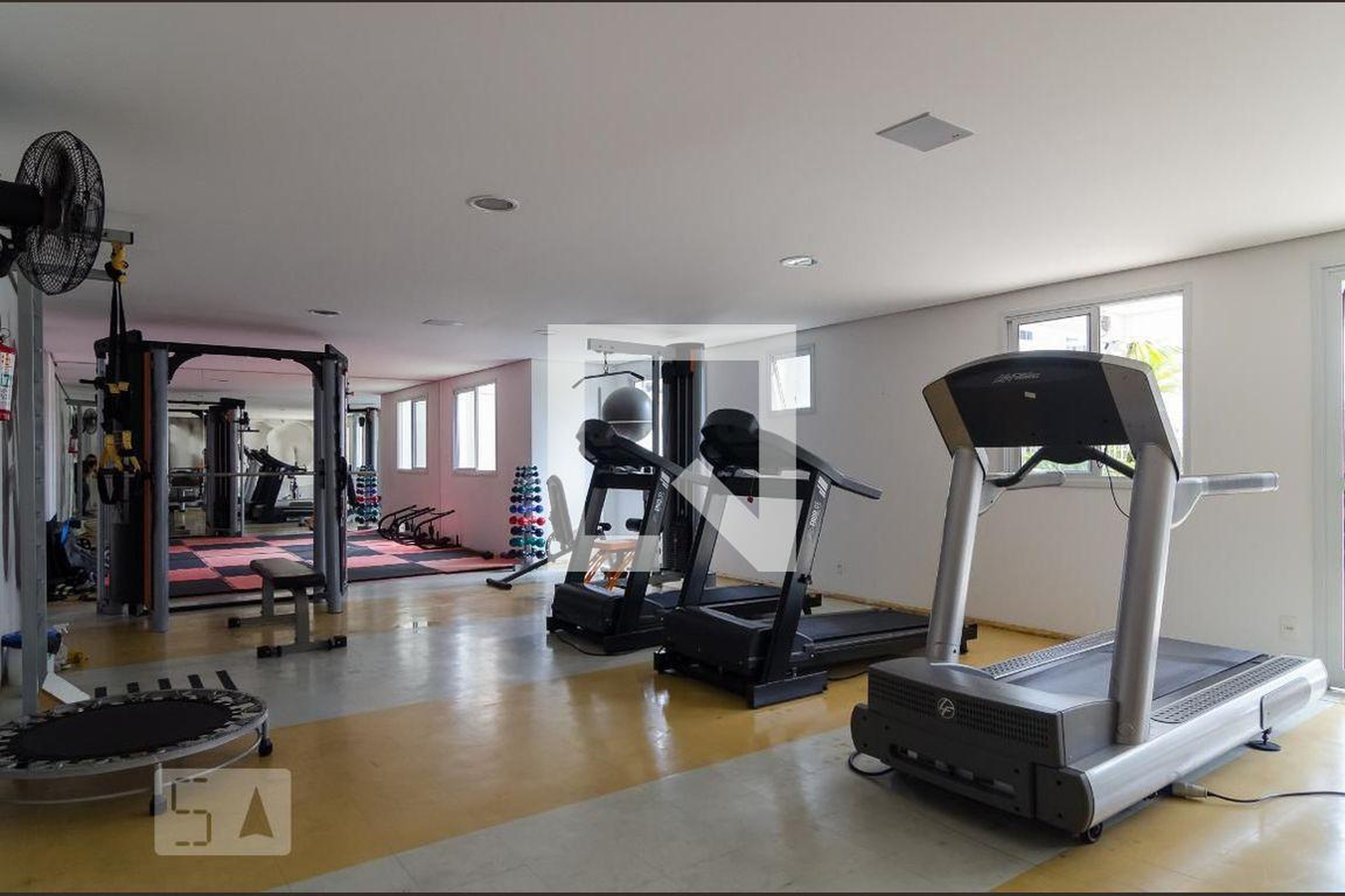 Academia - Phasis Vila Mascote