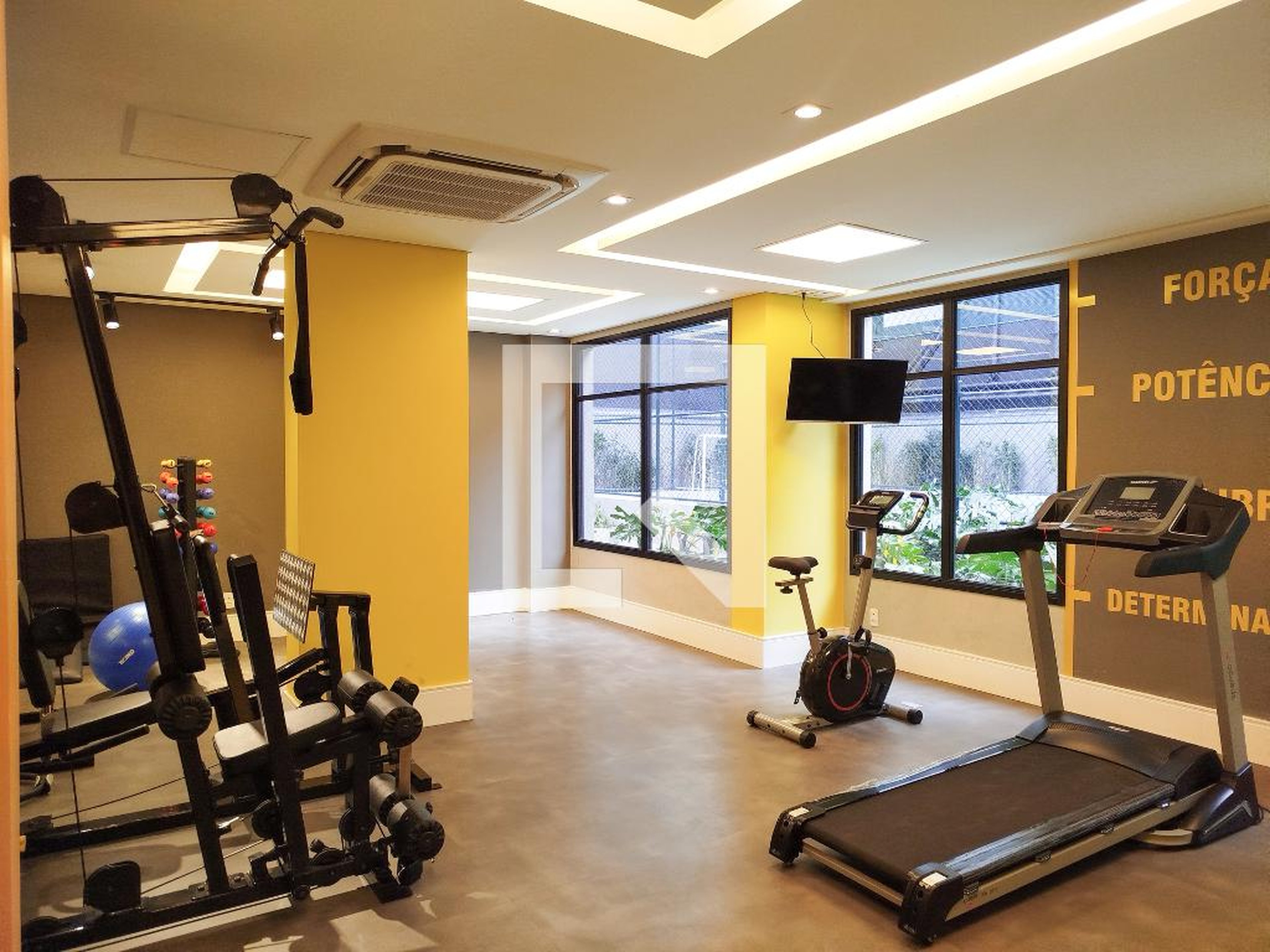 Academia - Alameda MBigucci