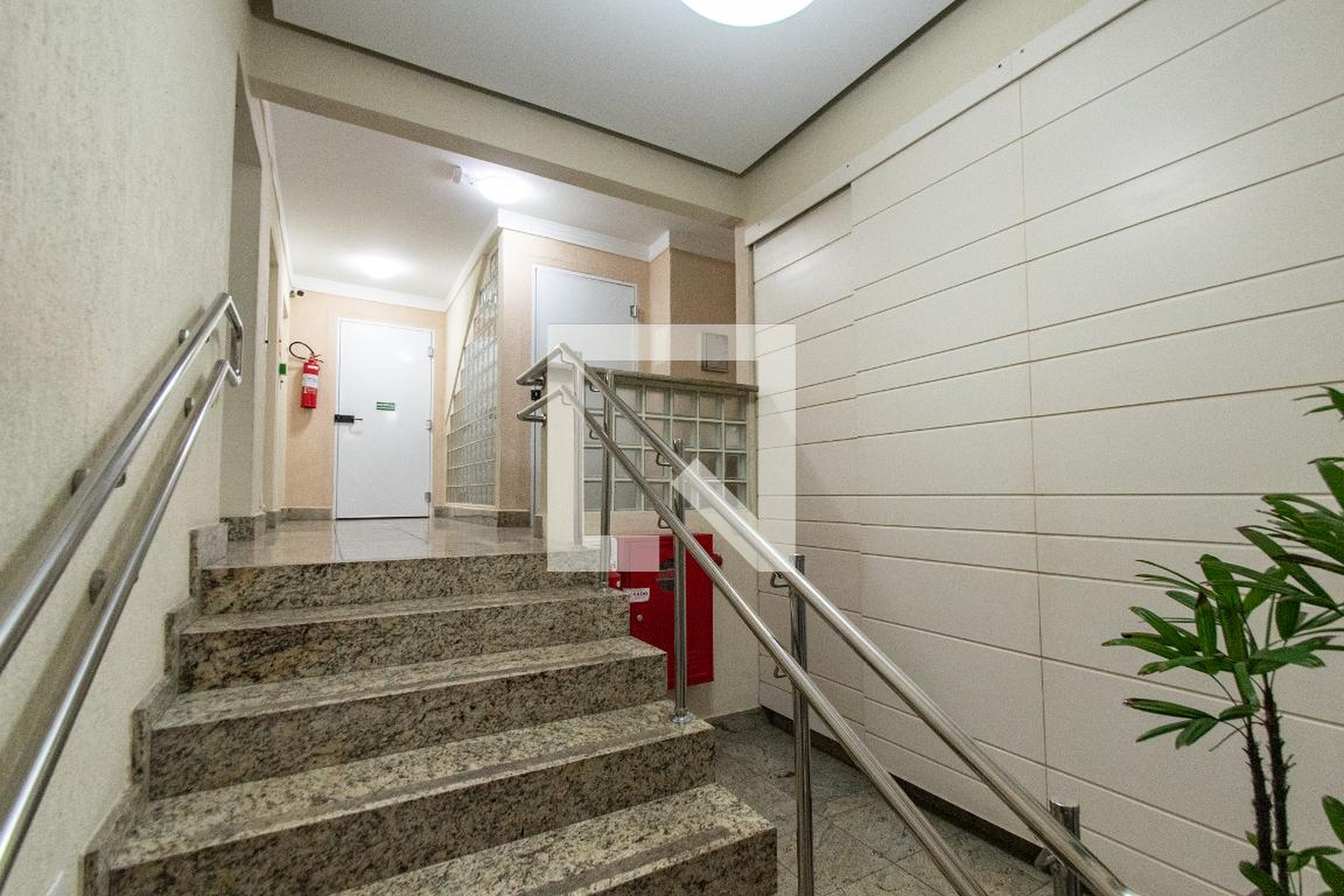 Hall de entrada - Orquidea