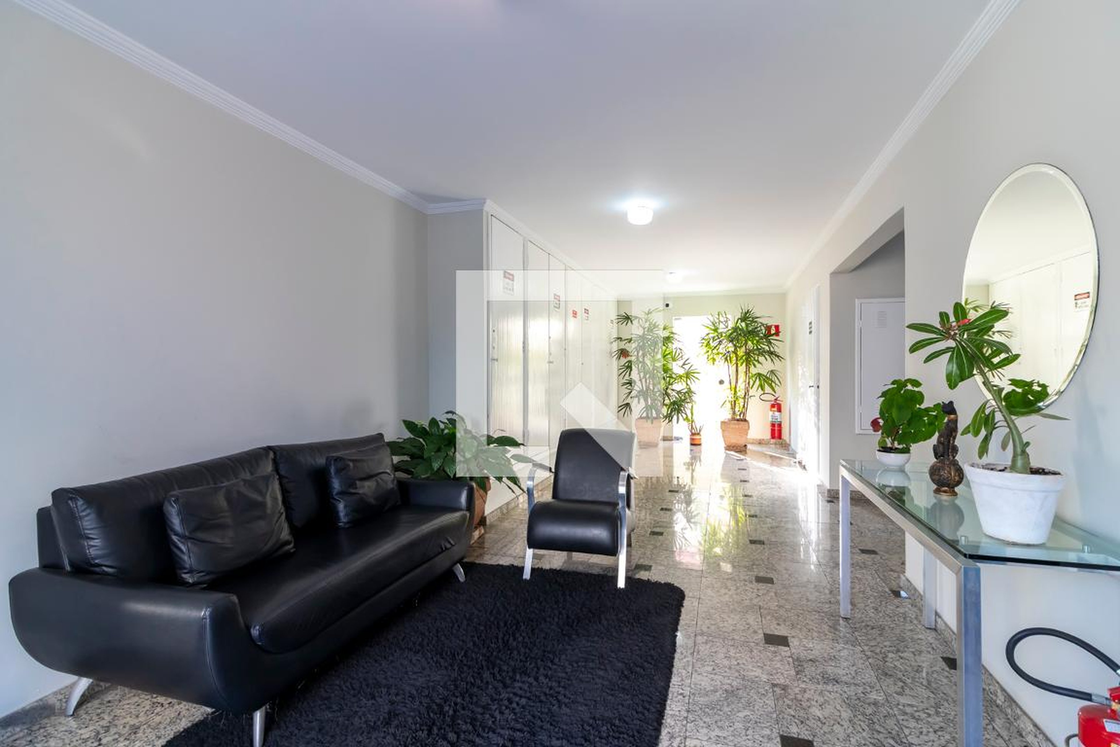 Hall Social - Augusto Tolle