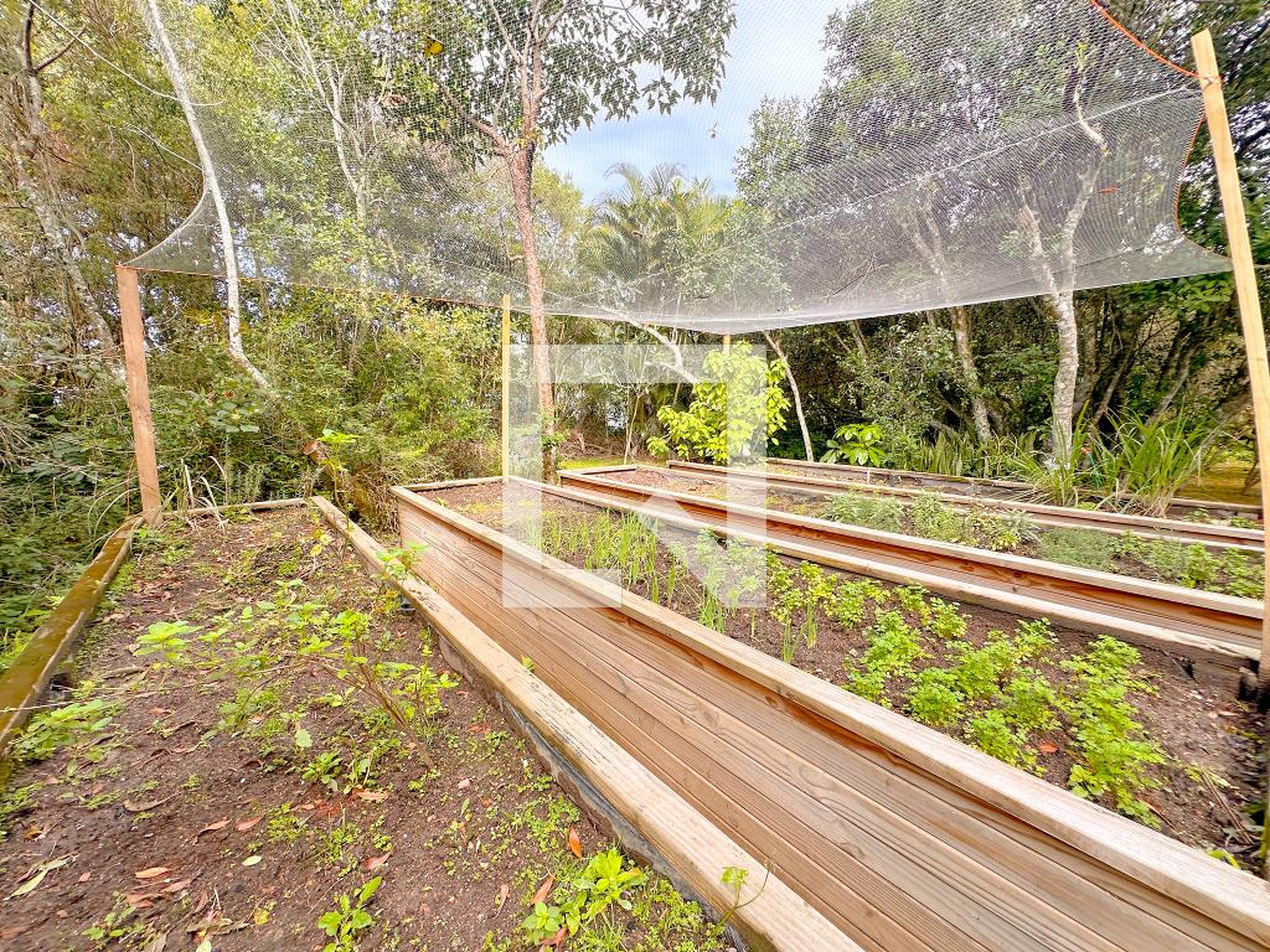 Área comum - Saulo Ramos