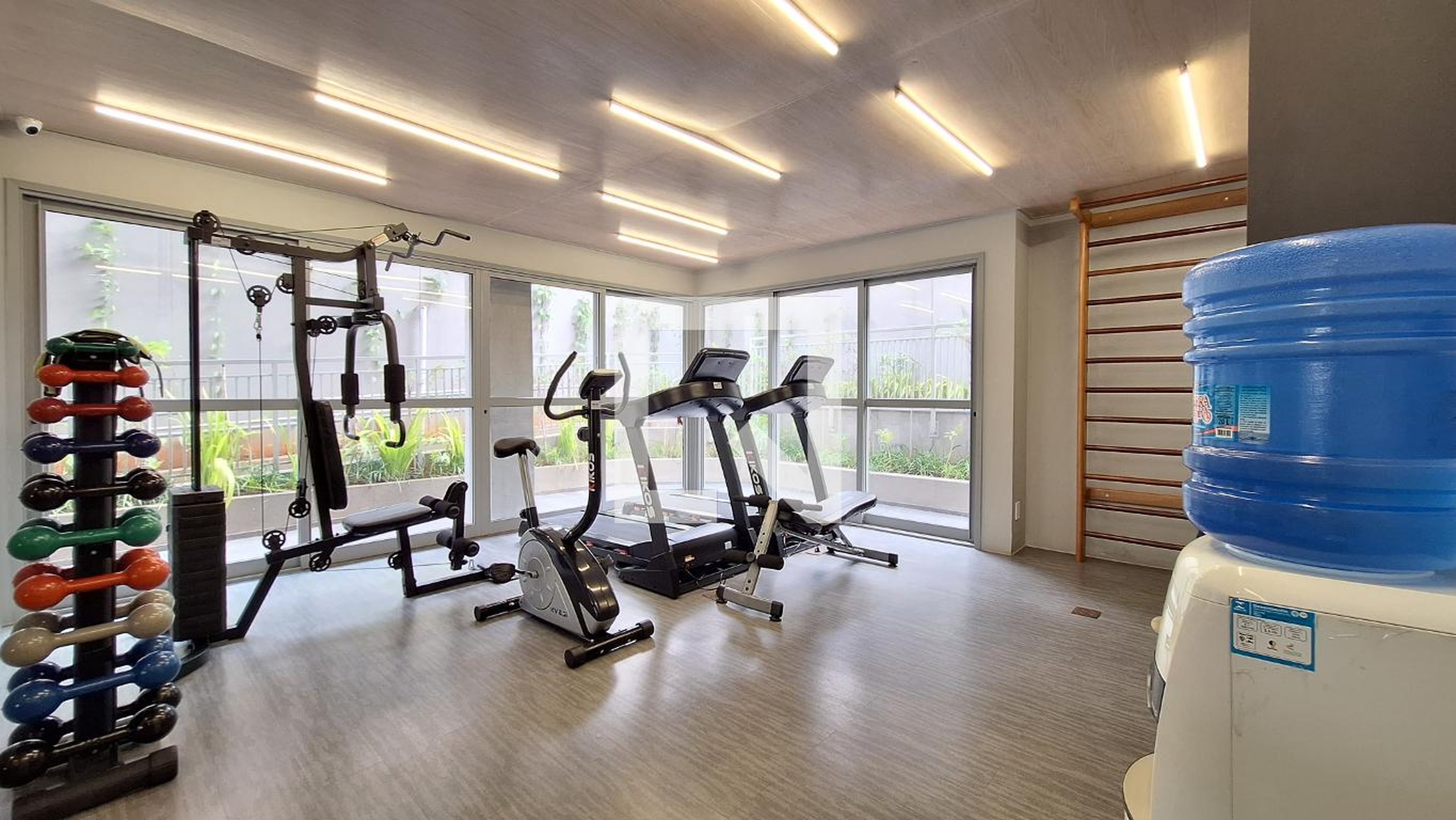 Academia - Cotoxo 926