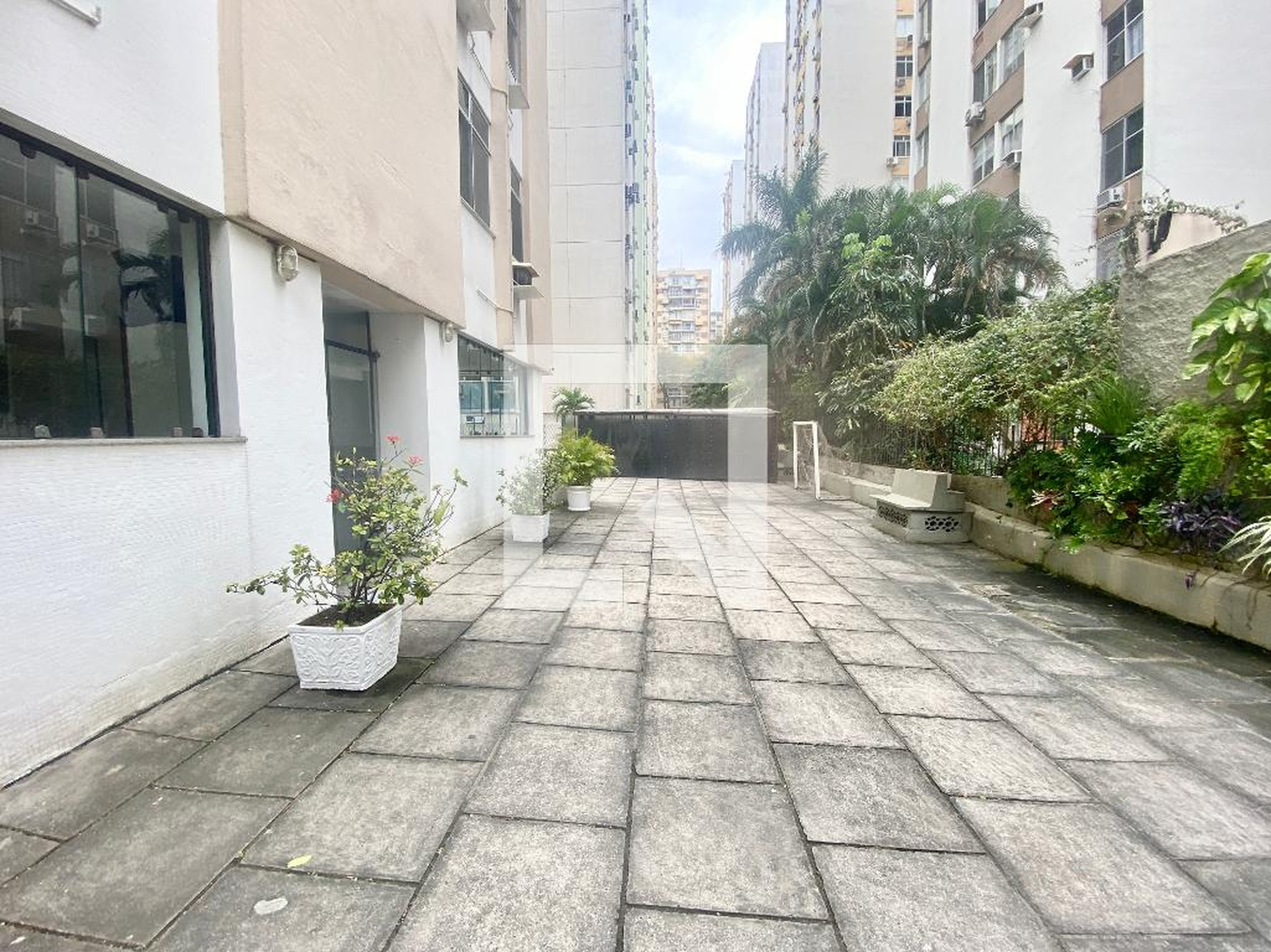 Área comum - Selva de Pedra