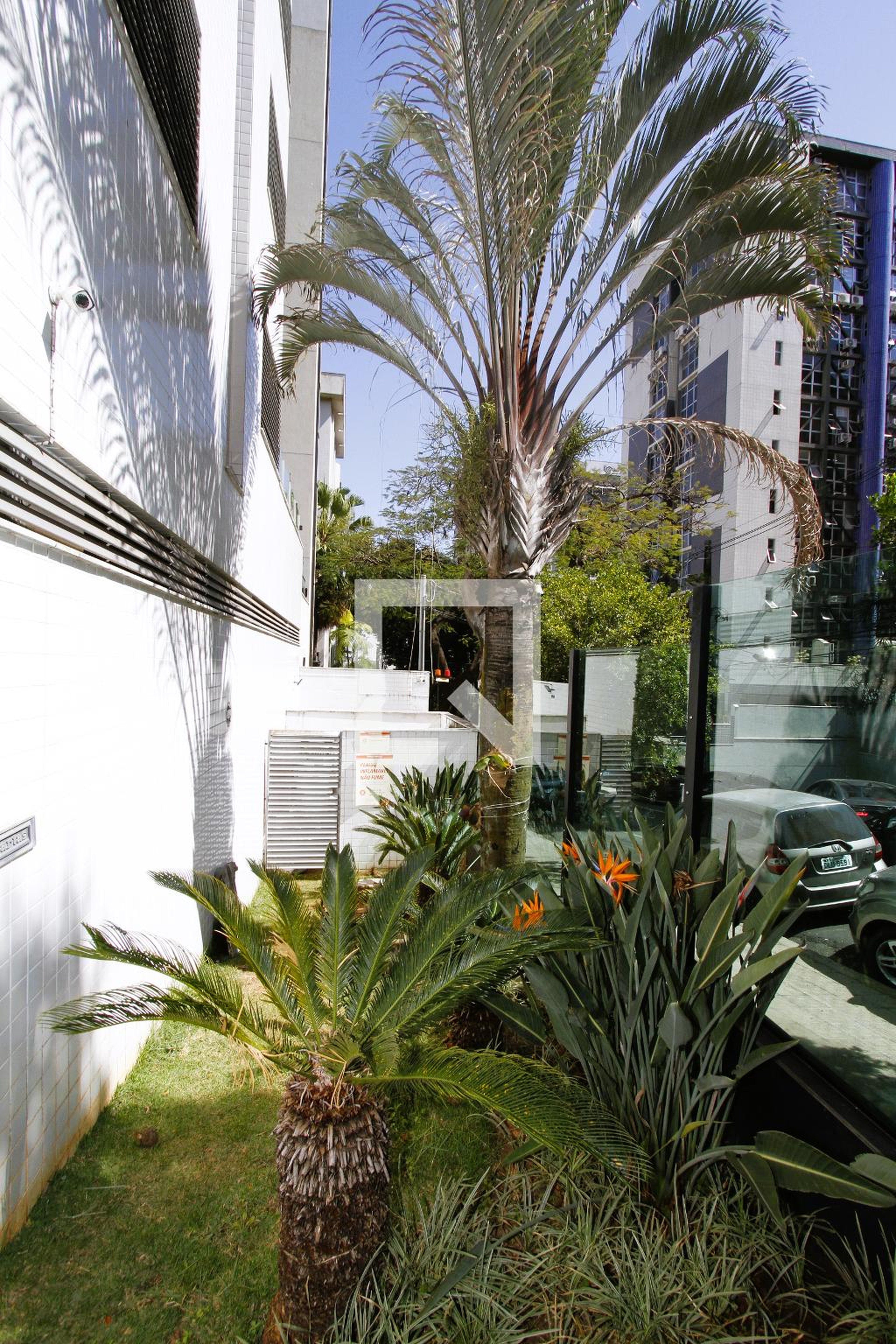 Entrada - Leonardo Contijo