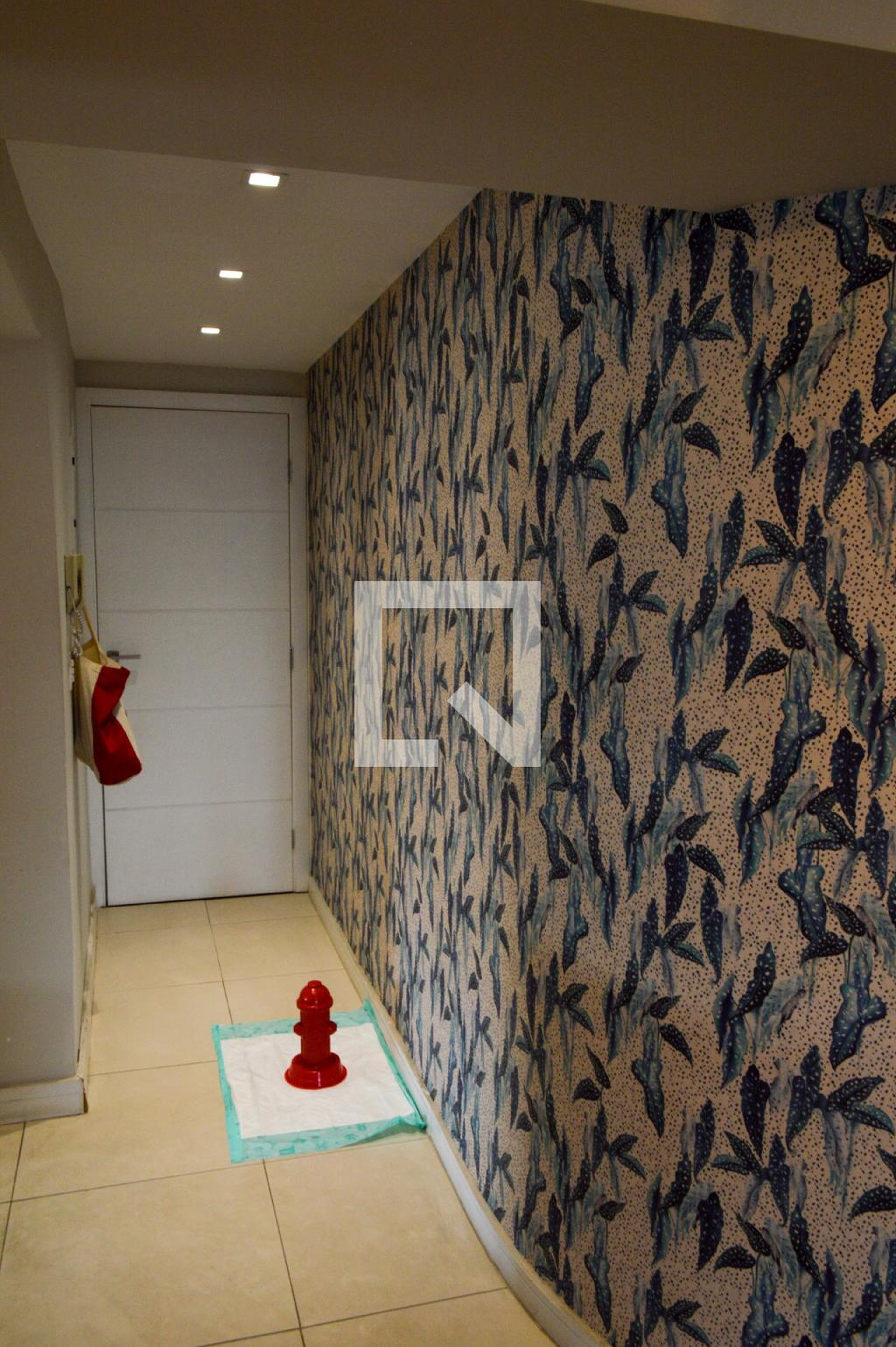 Entrada - Professora Lúcia Branco