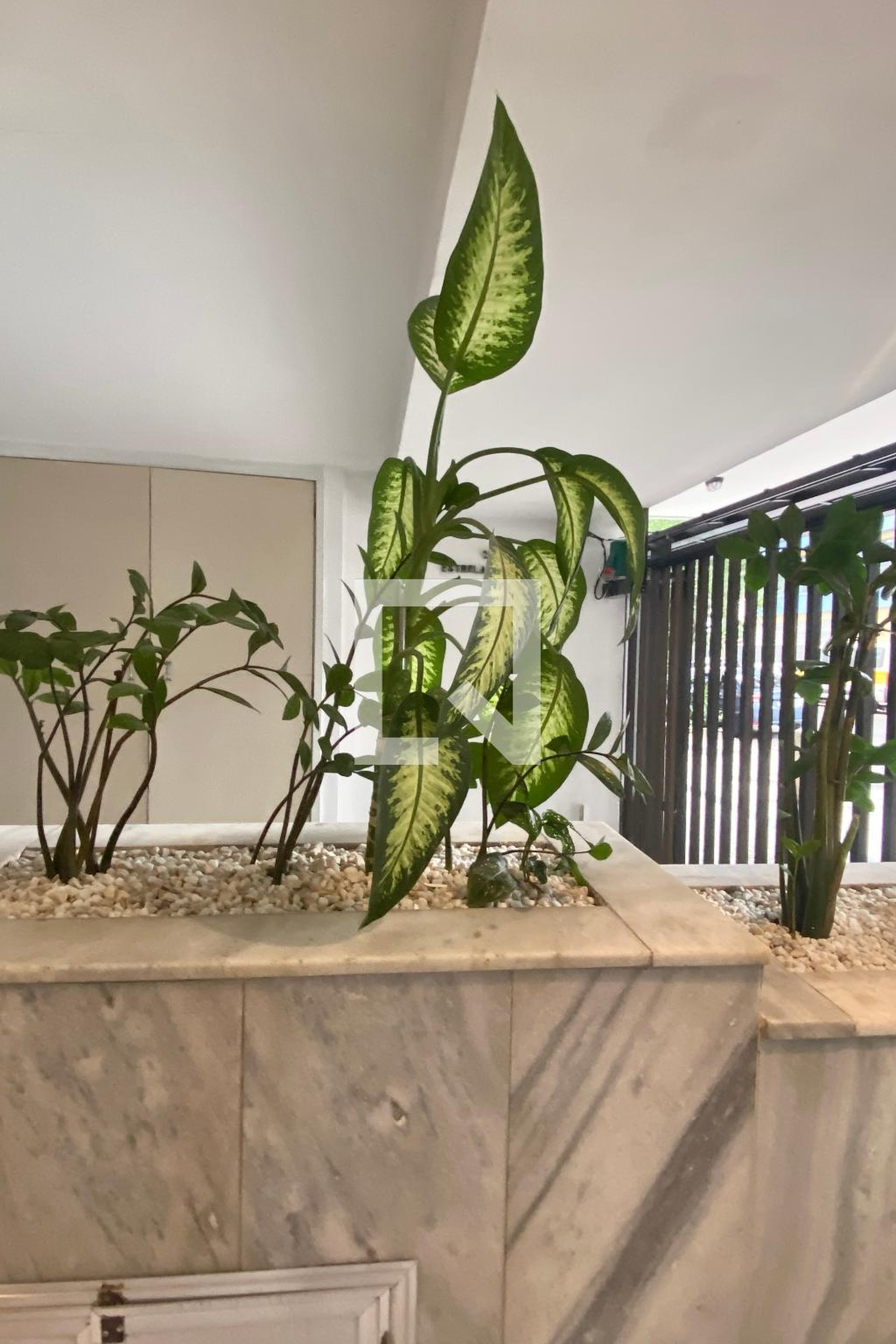 Hall de entrada - Estrela da Manhã