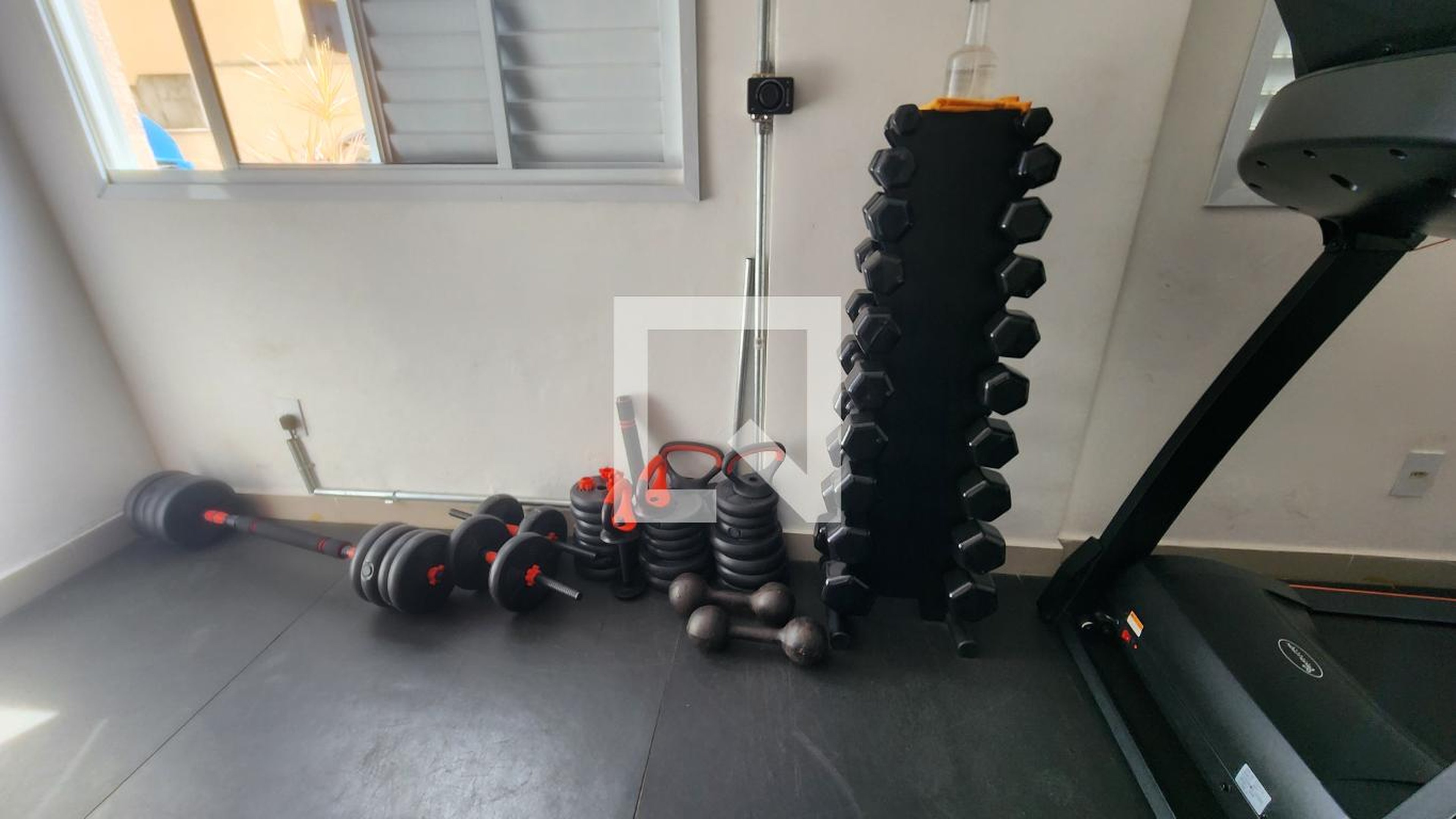 Academia - Dolce Vita