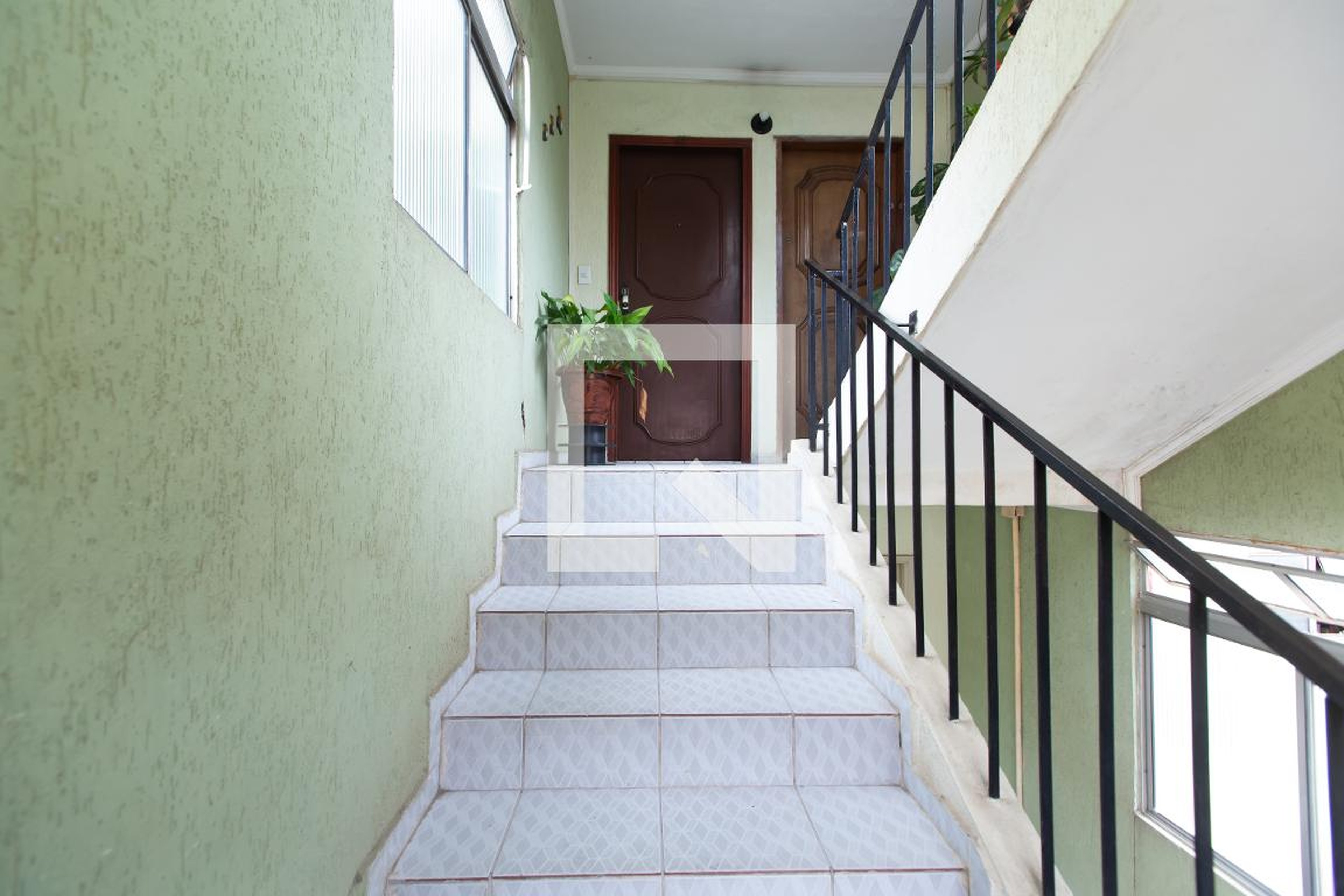 Entrada - Canarios II