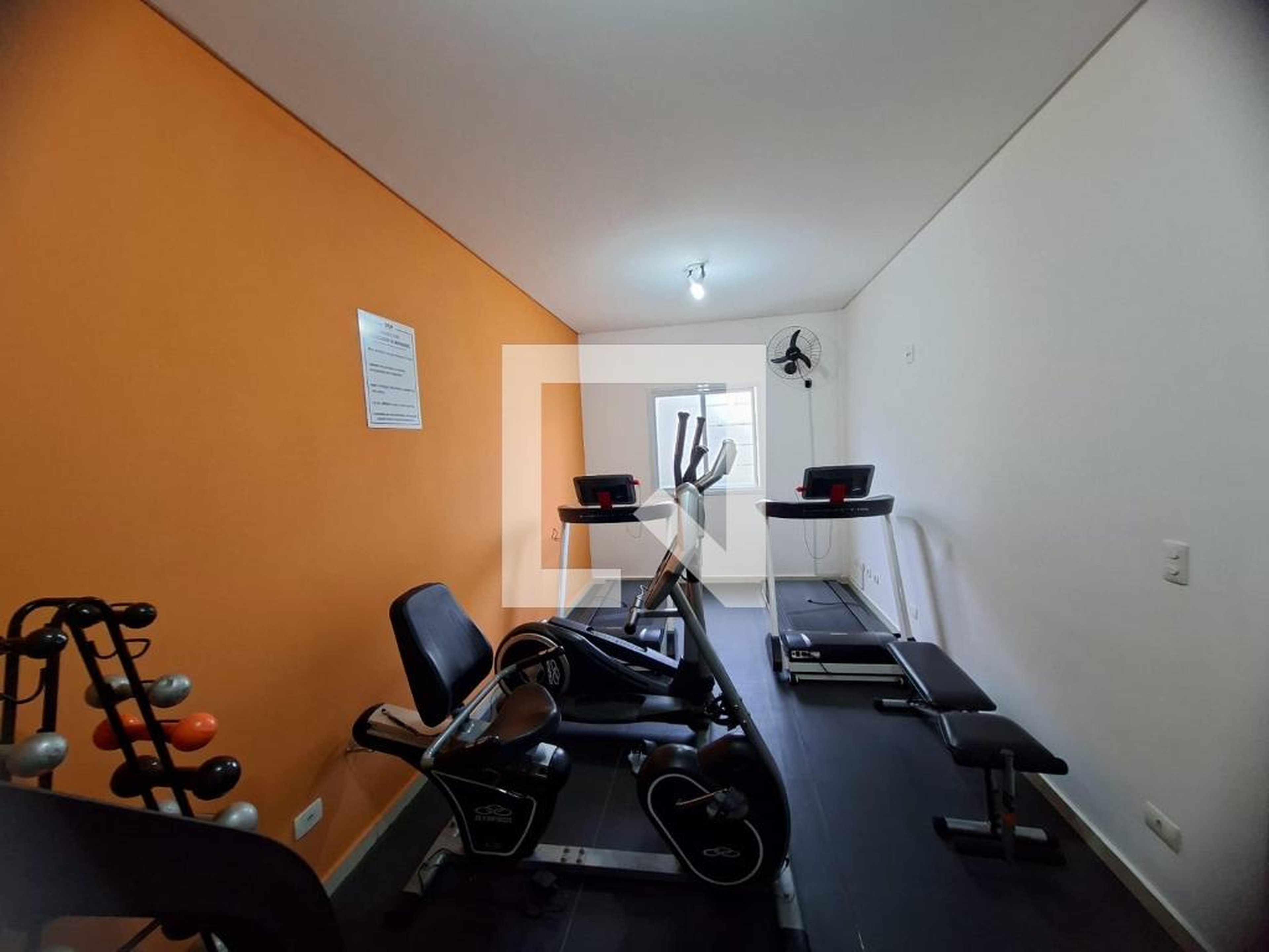 Academia - Montesquieu