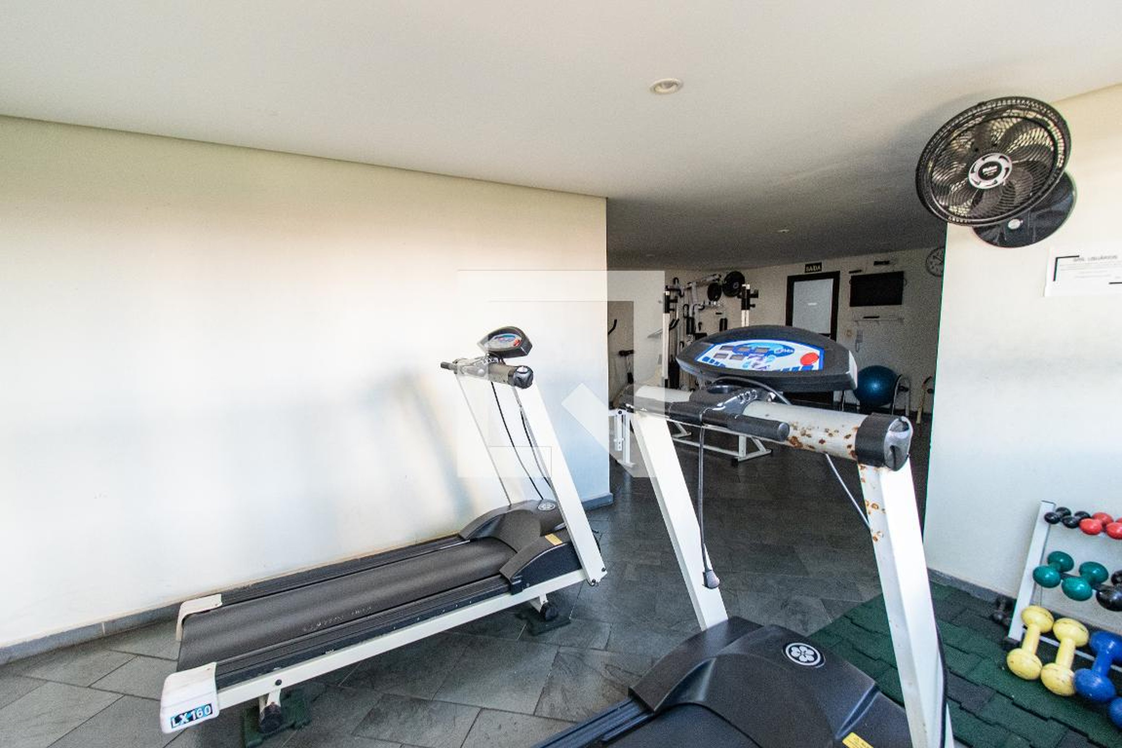 Academia - Mont Blanc Tropical