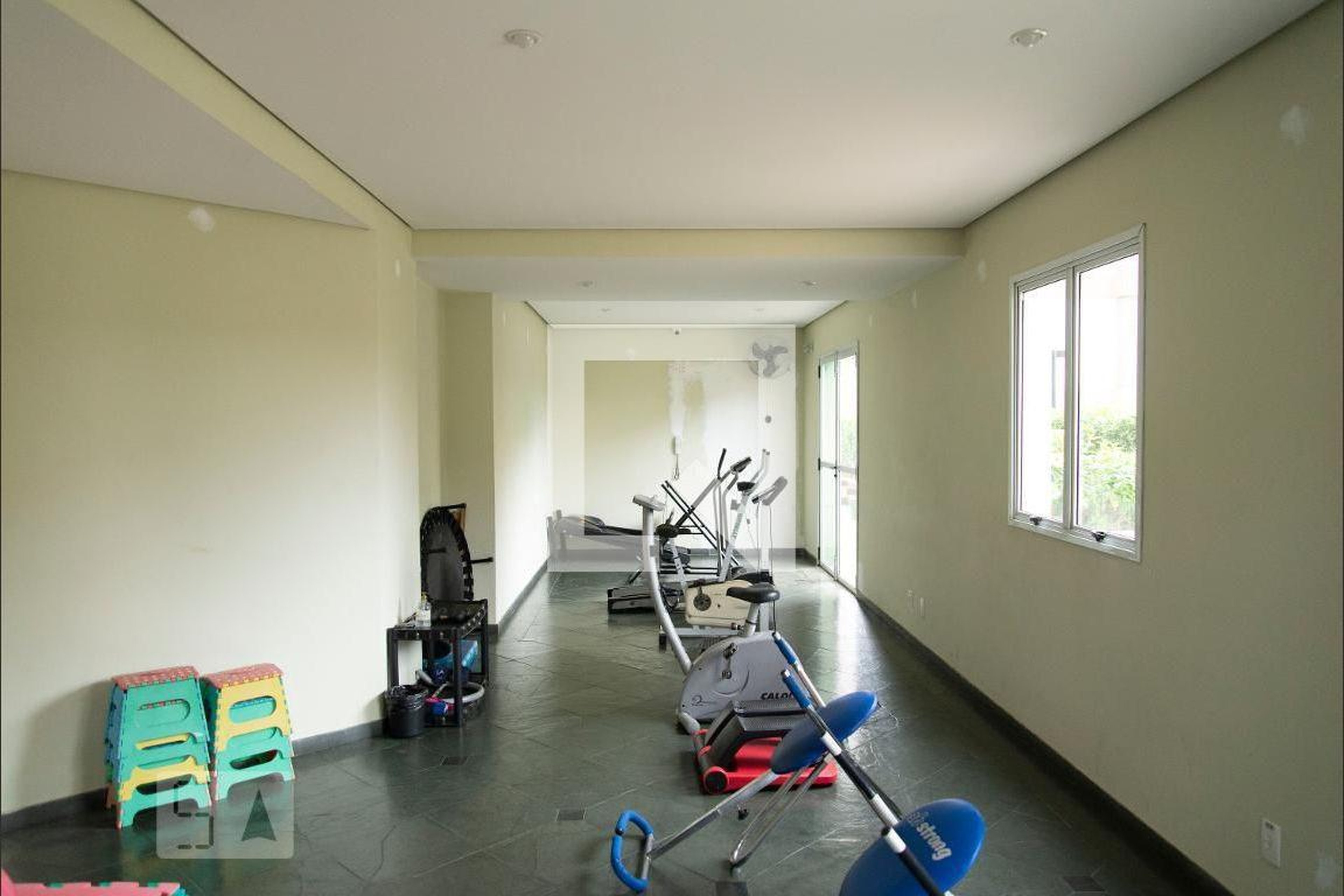 Academia - Paula Ferreira