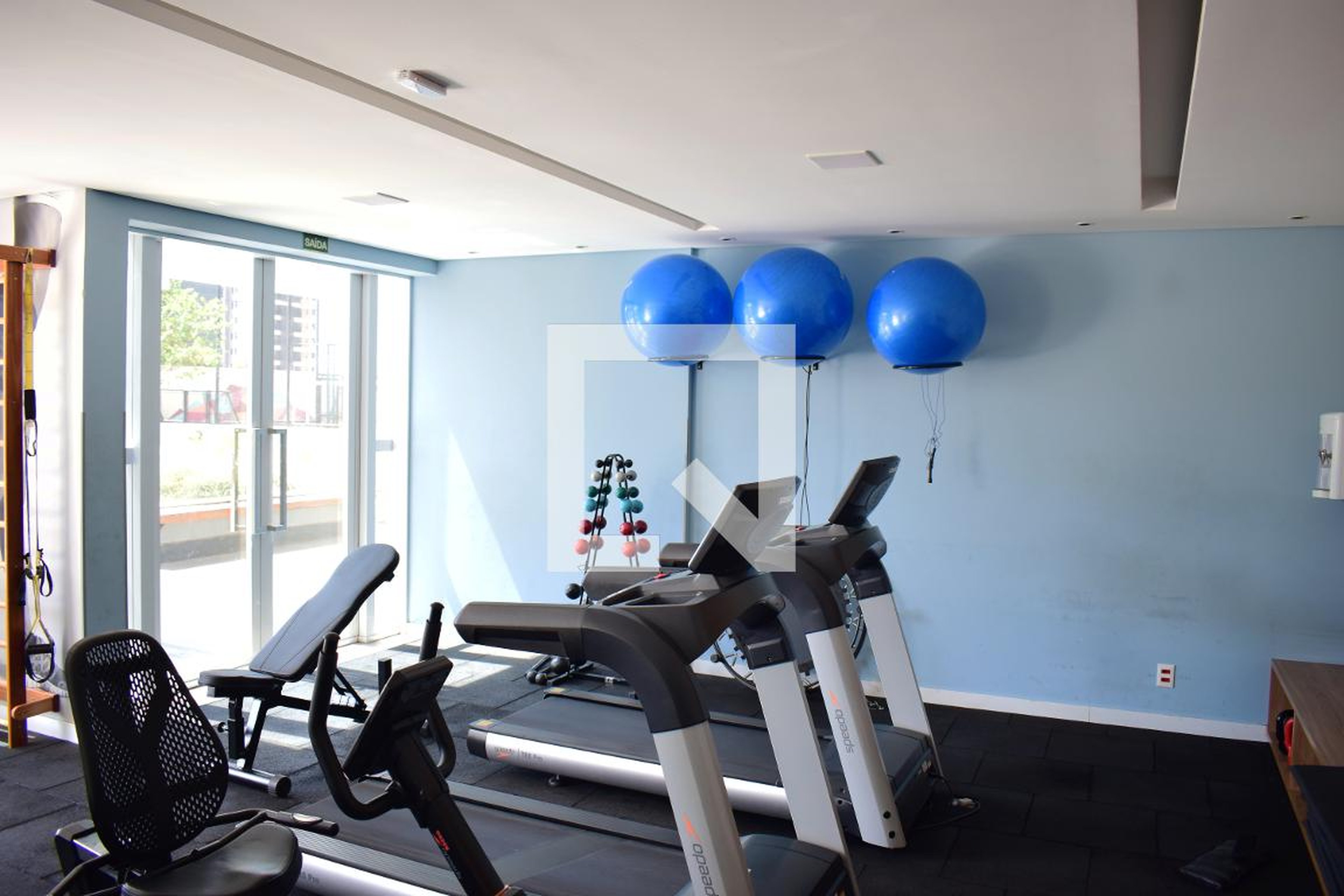 Academia - Vision NEO Life