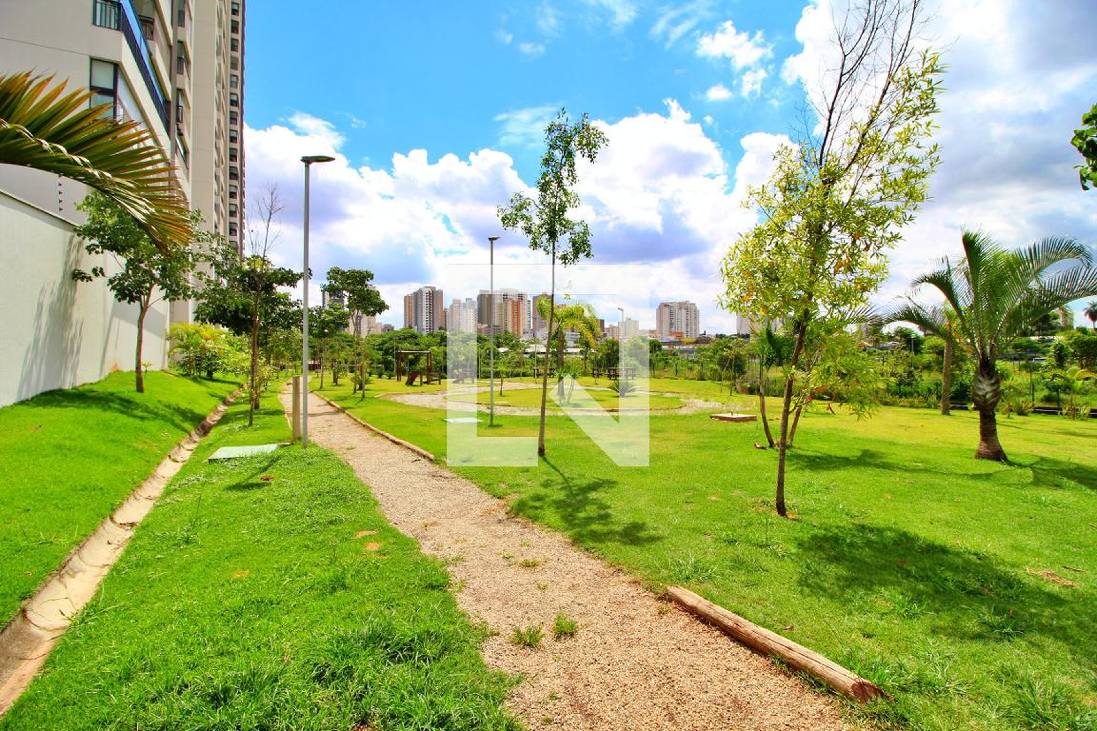 Espaço pet - Cidade Viva