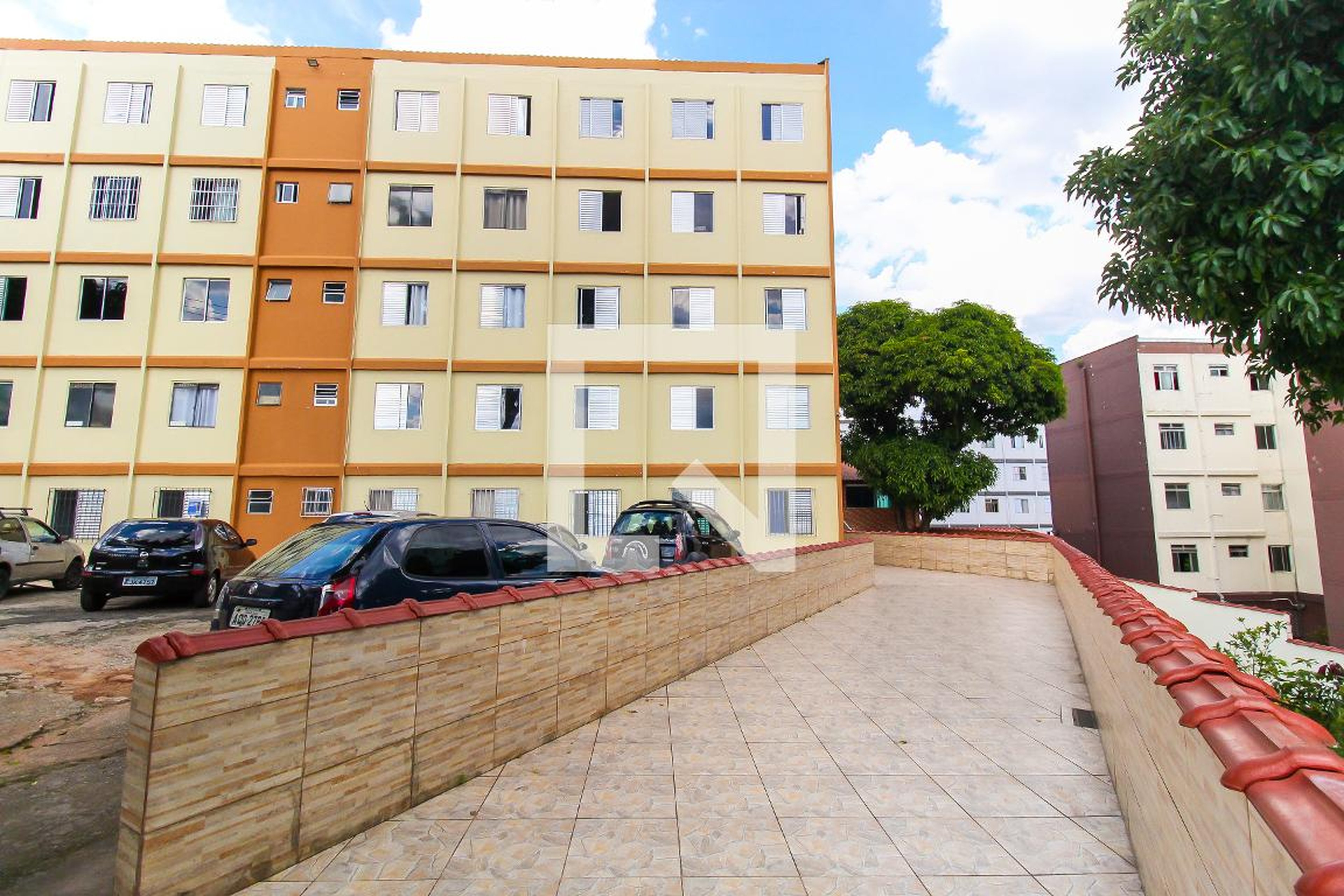 Entrada - Petuneas 4