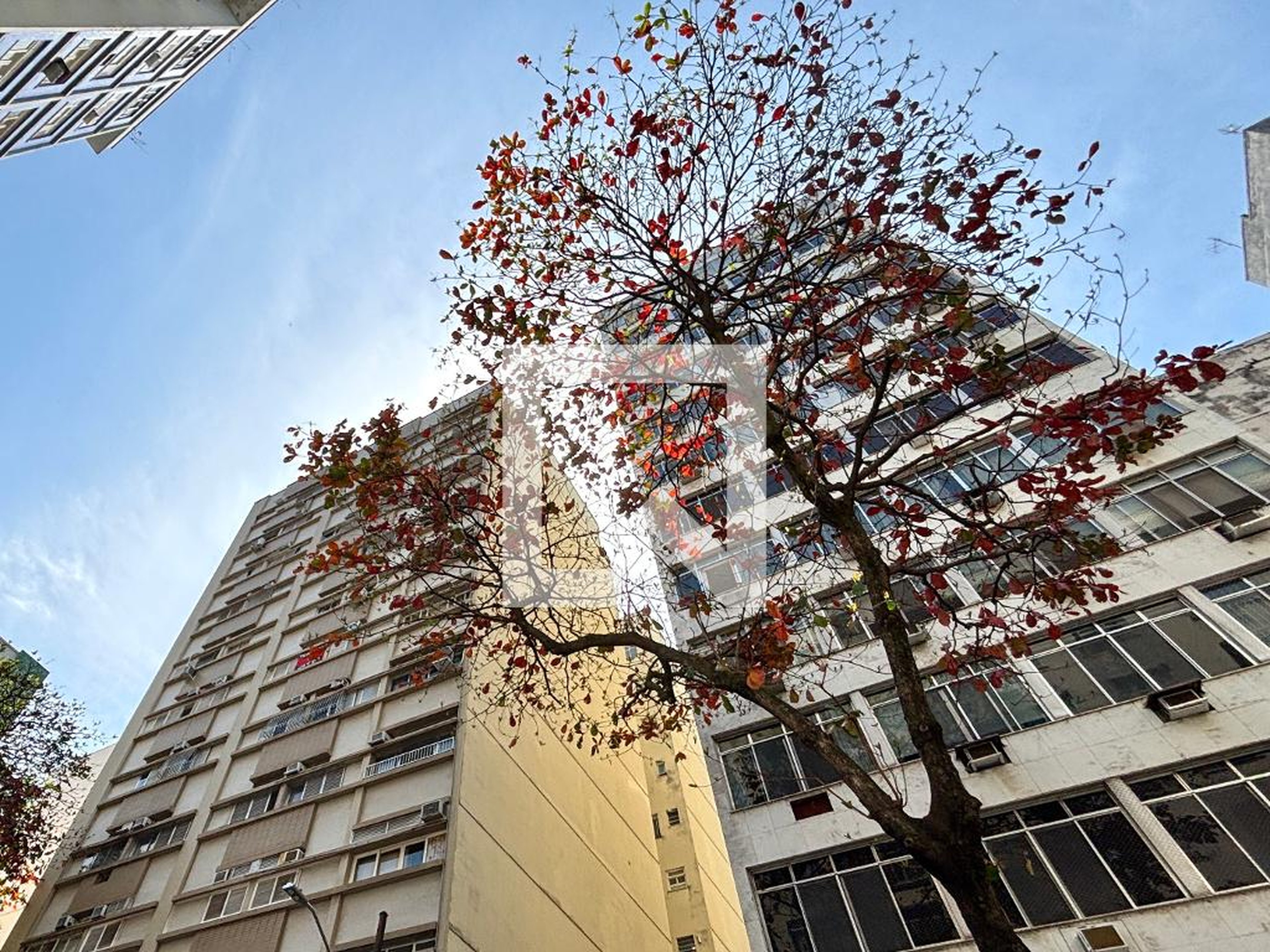 Fachada Edifício Elizabeth