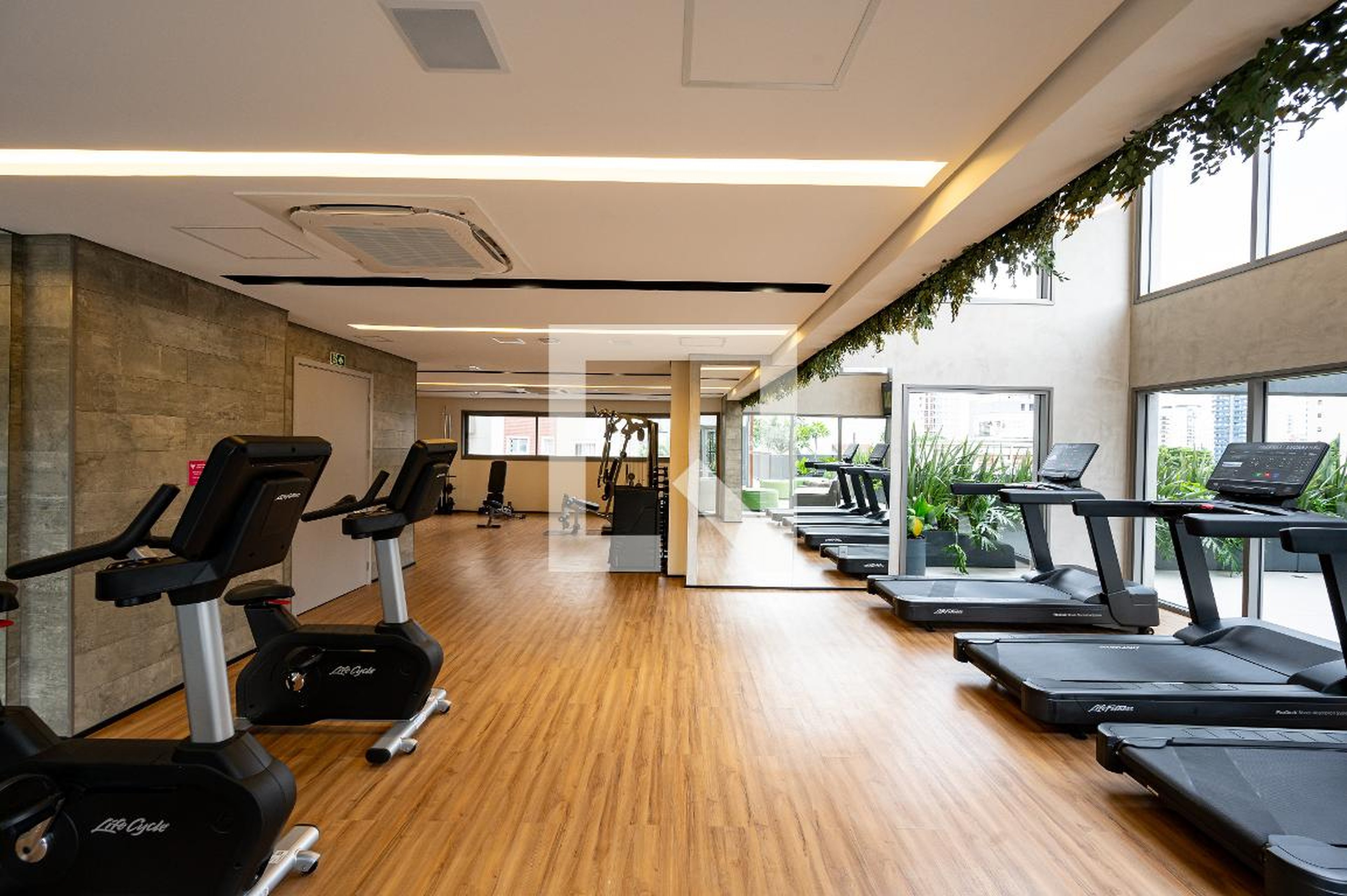 Academia - On Loefgren