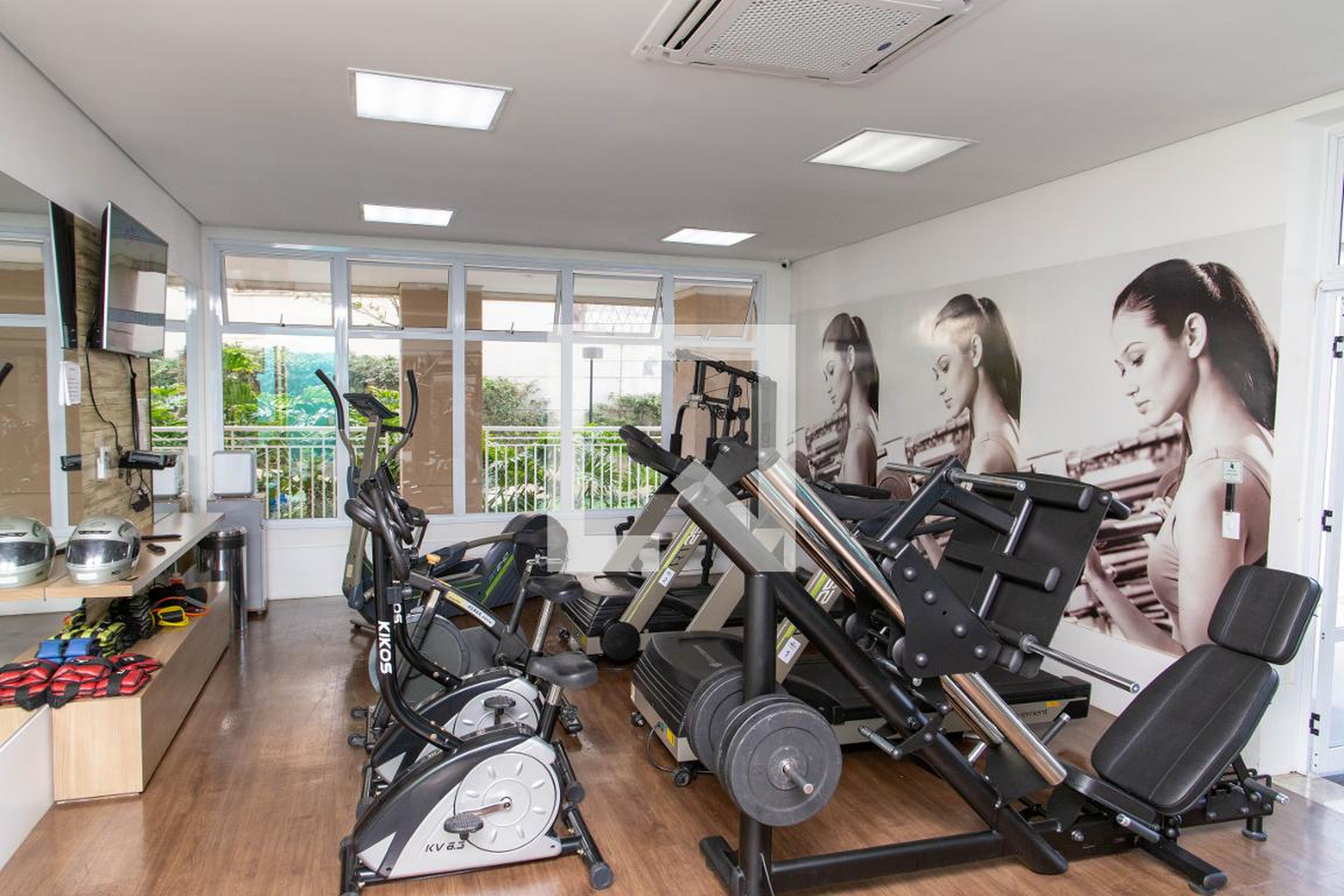 Academia - Singular Exclusive Life