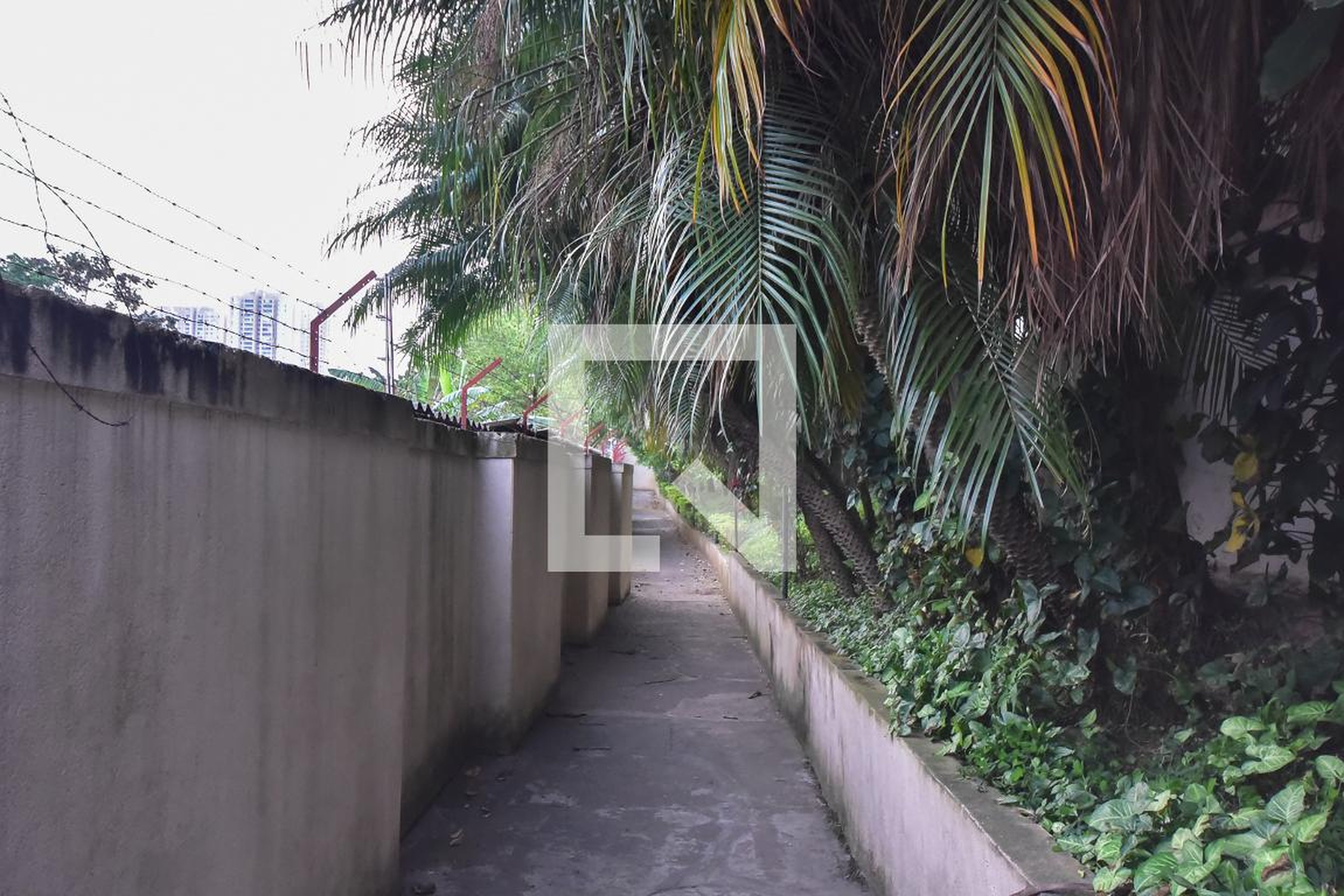 Área comum - Pablo Picasso