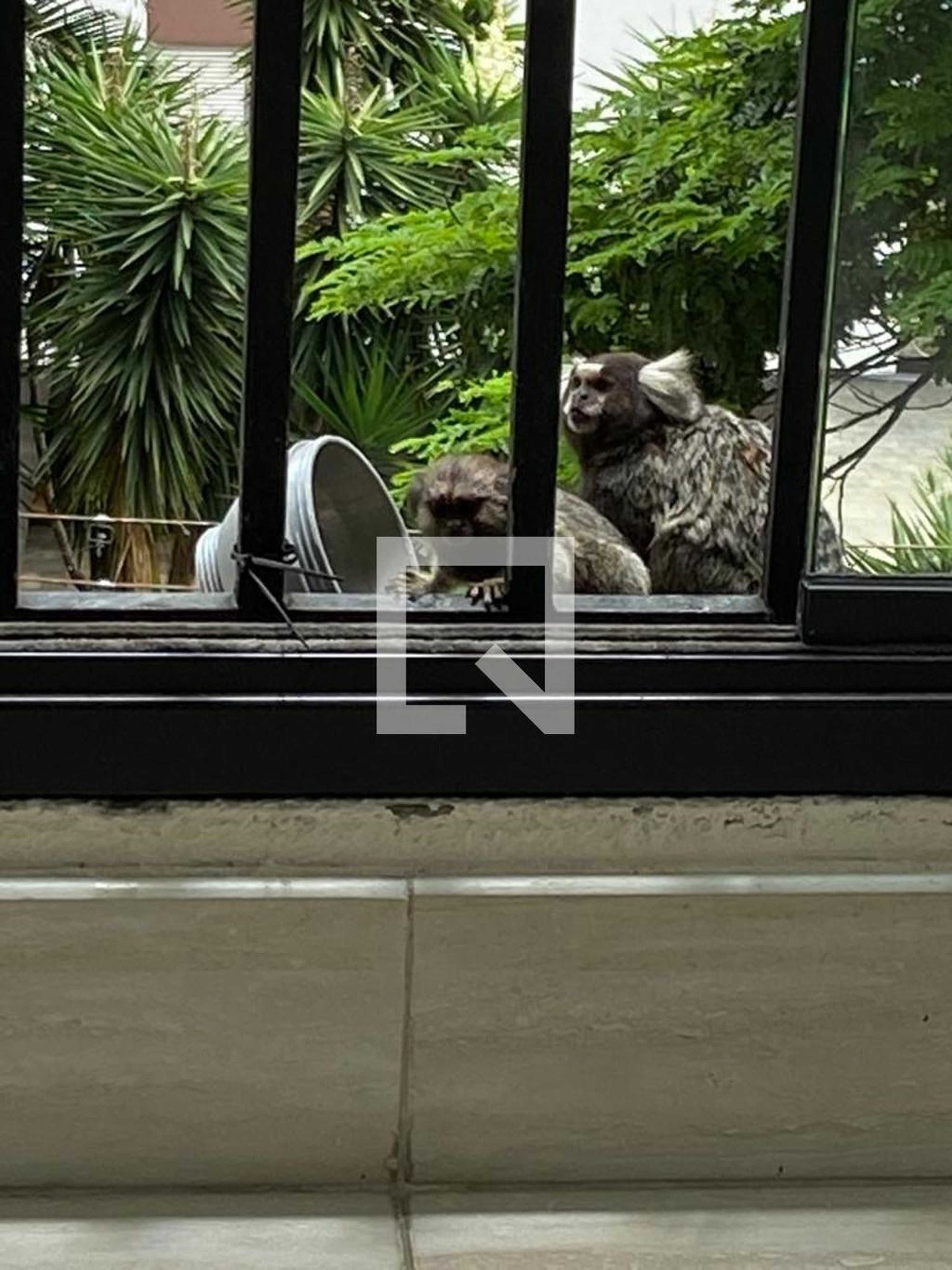 Área comum - Maison Saint Honoré