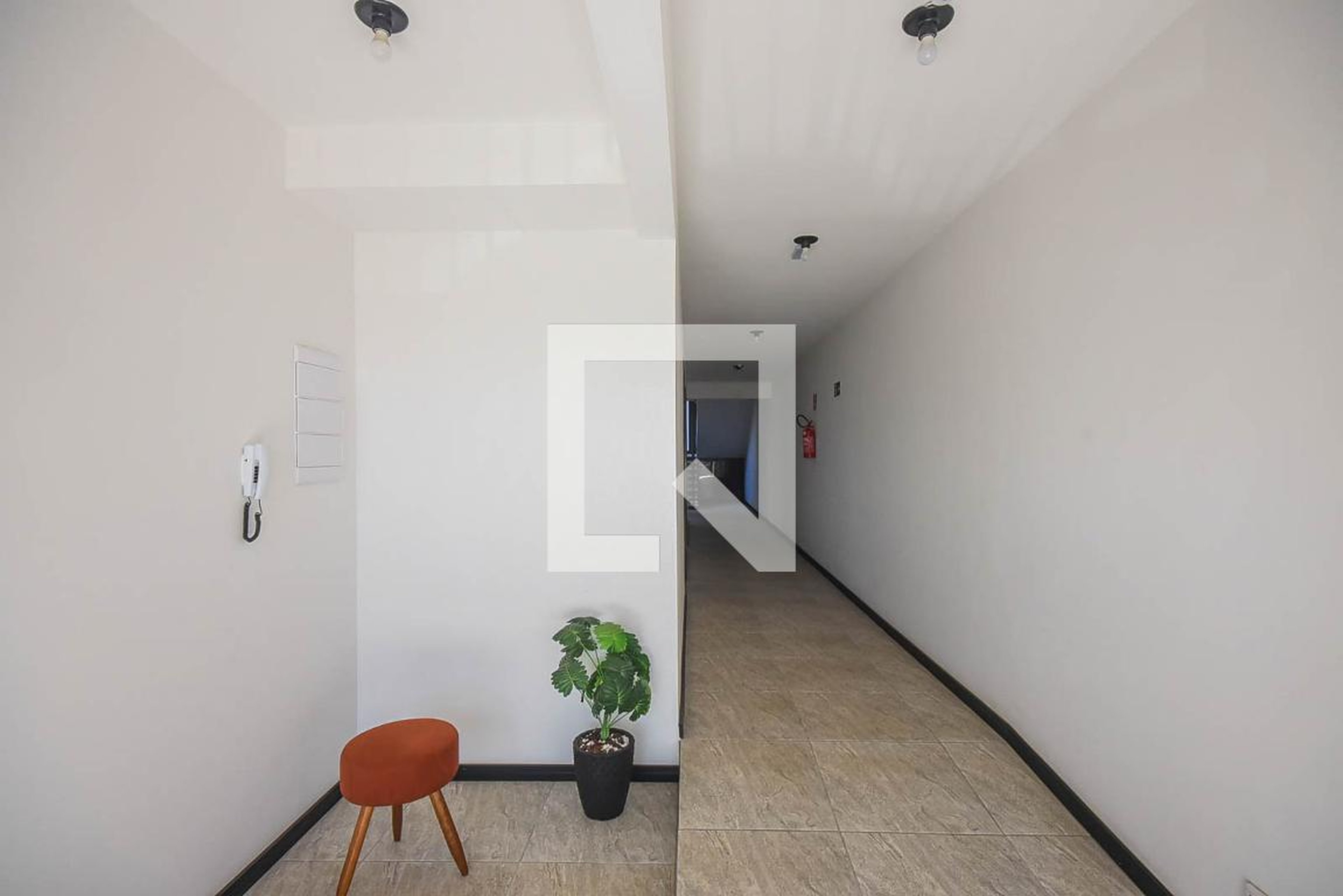 Hall Social - Vs 117 Studios