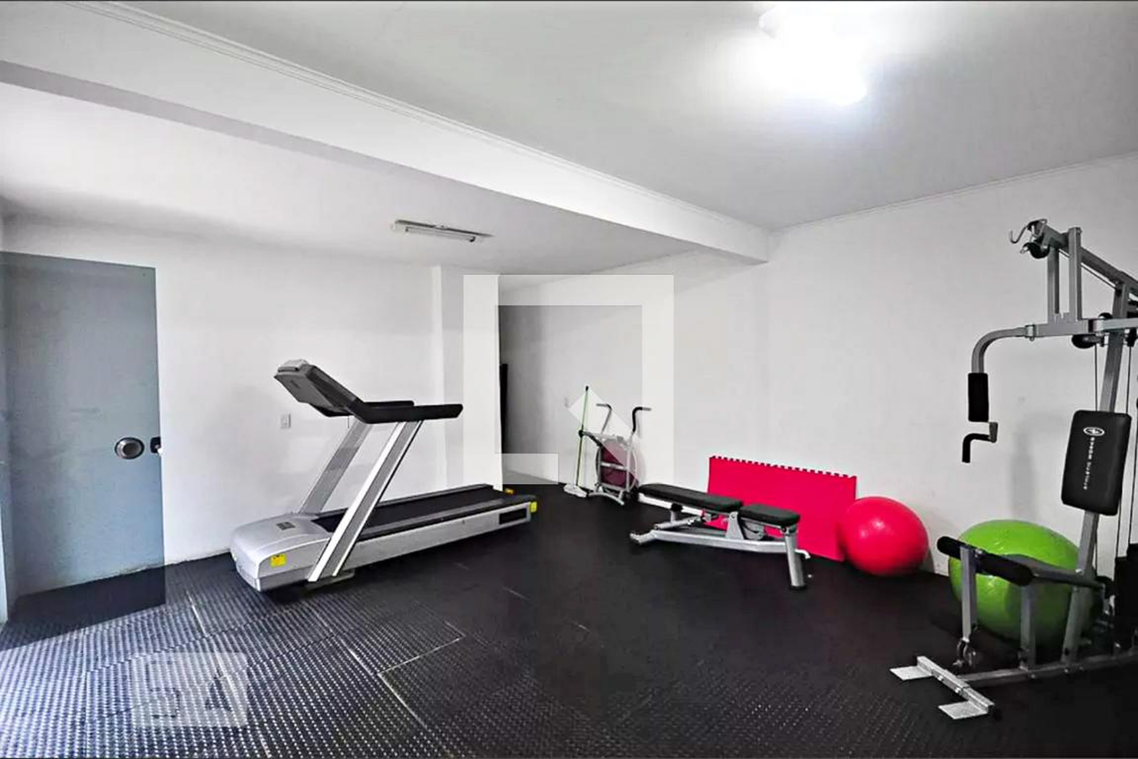 Academia - Tulipe Noire