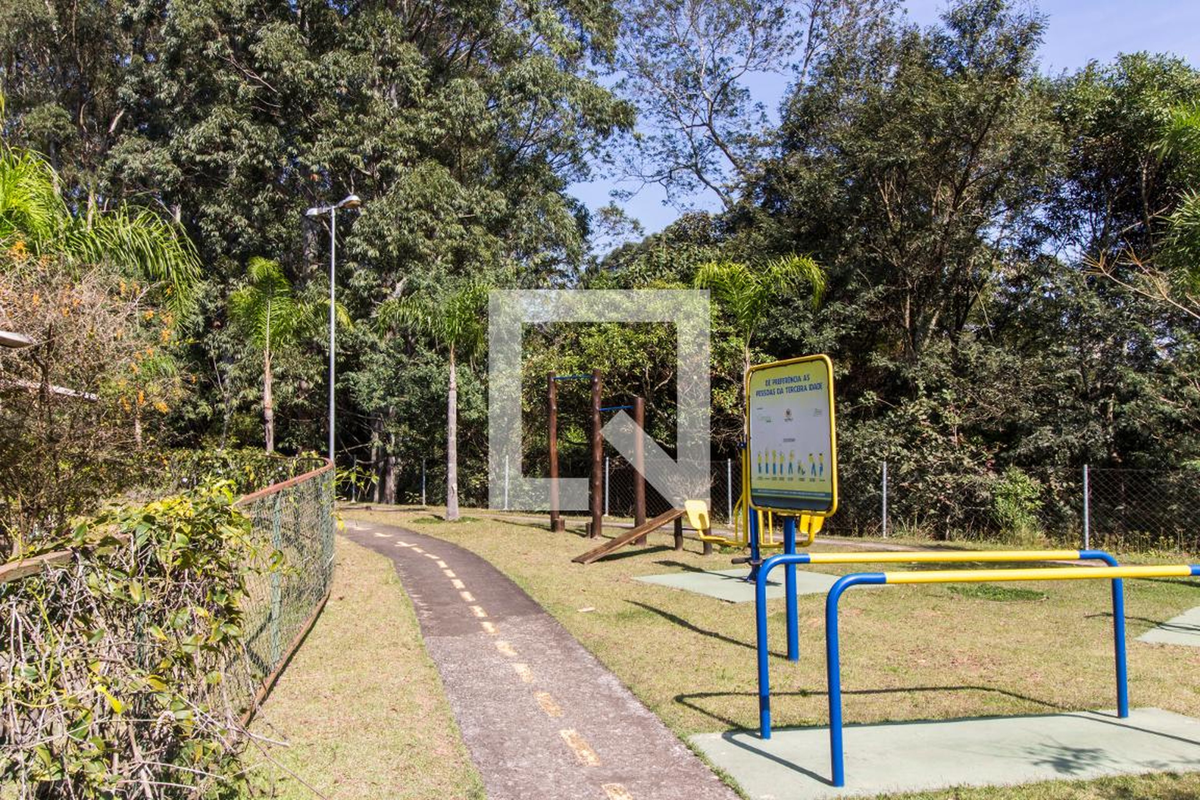 Academia - Green Tamboré