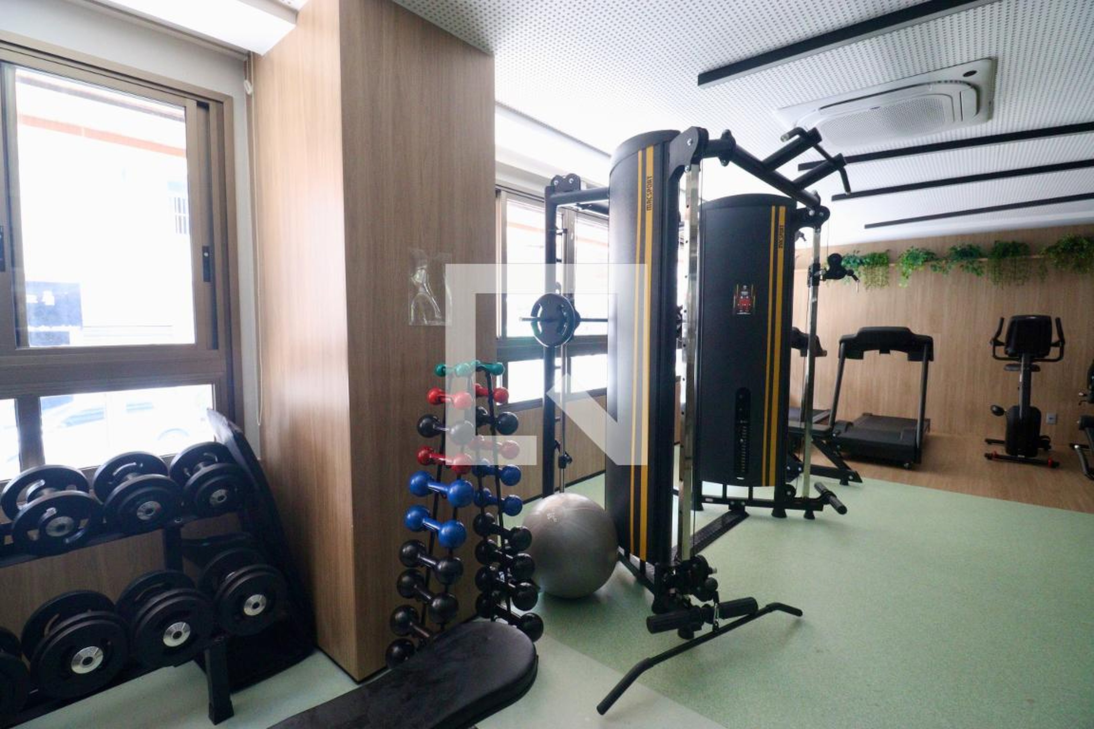 Academia - Atlantic Ocean