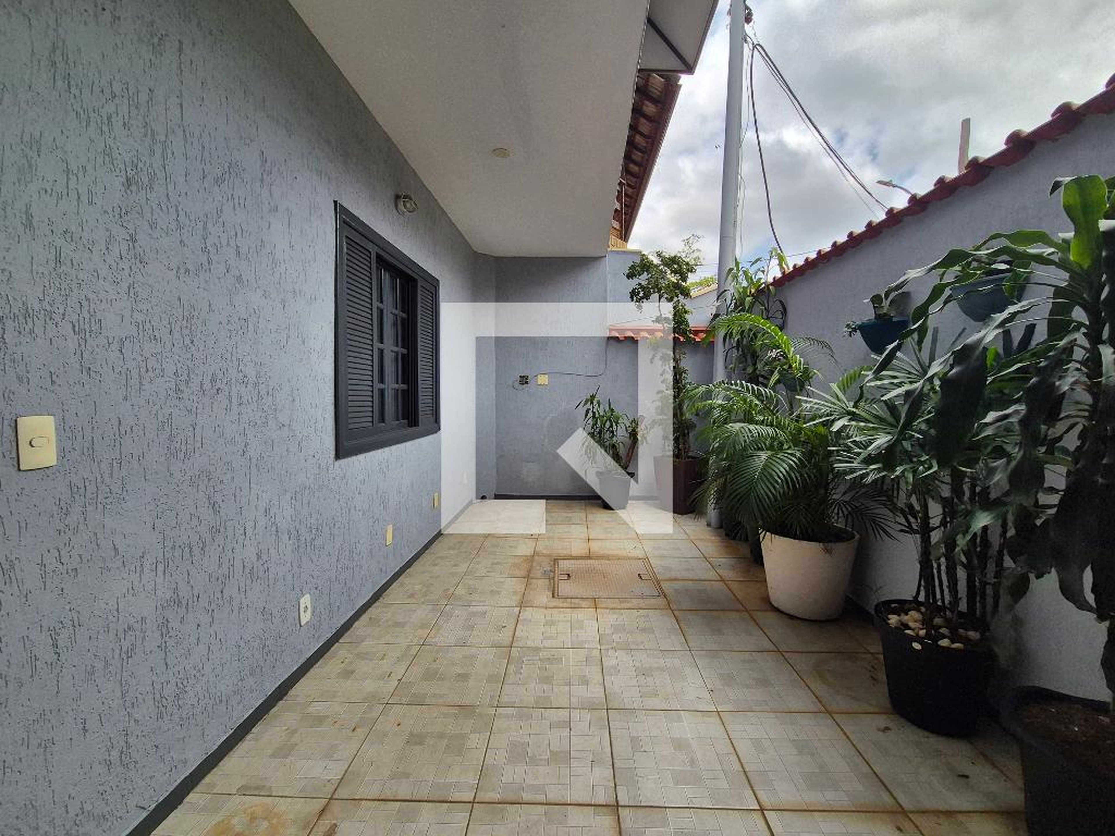 Área externa - Orquídeas