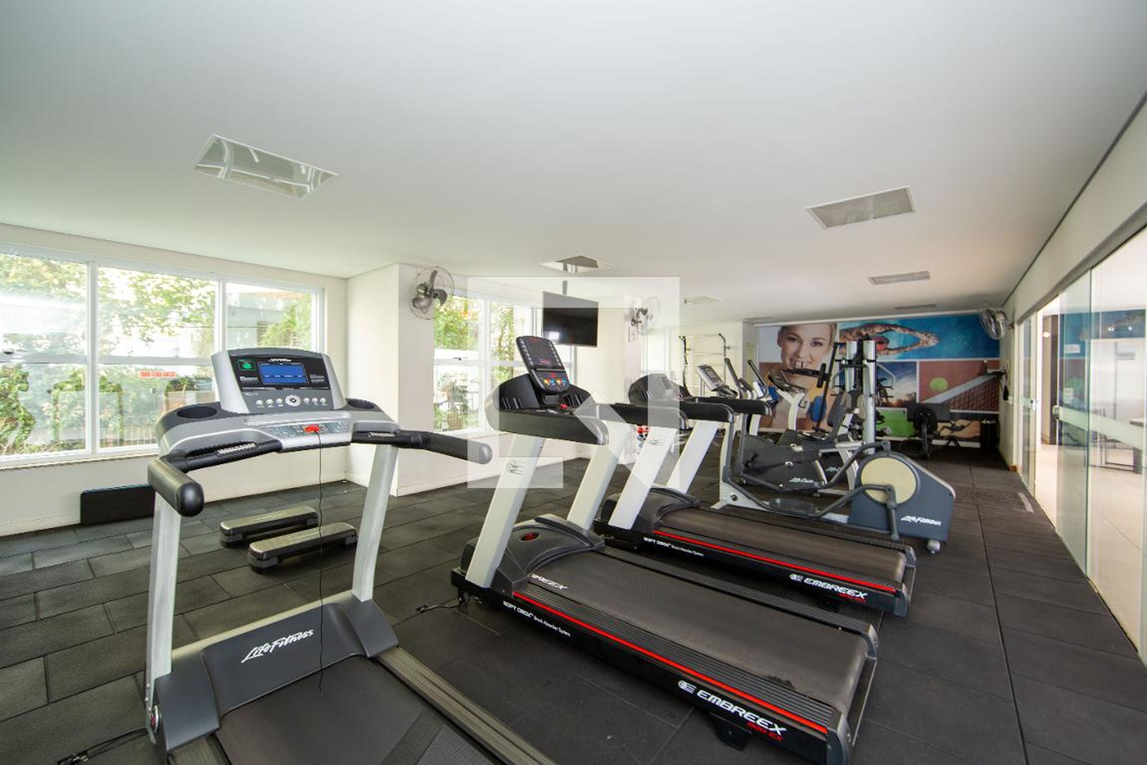 Academia - Springfield