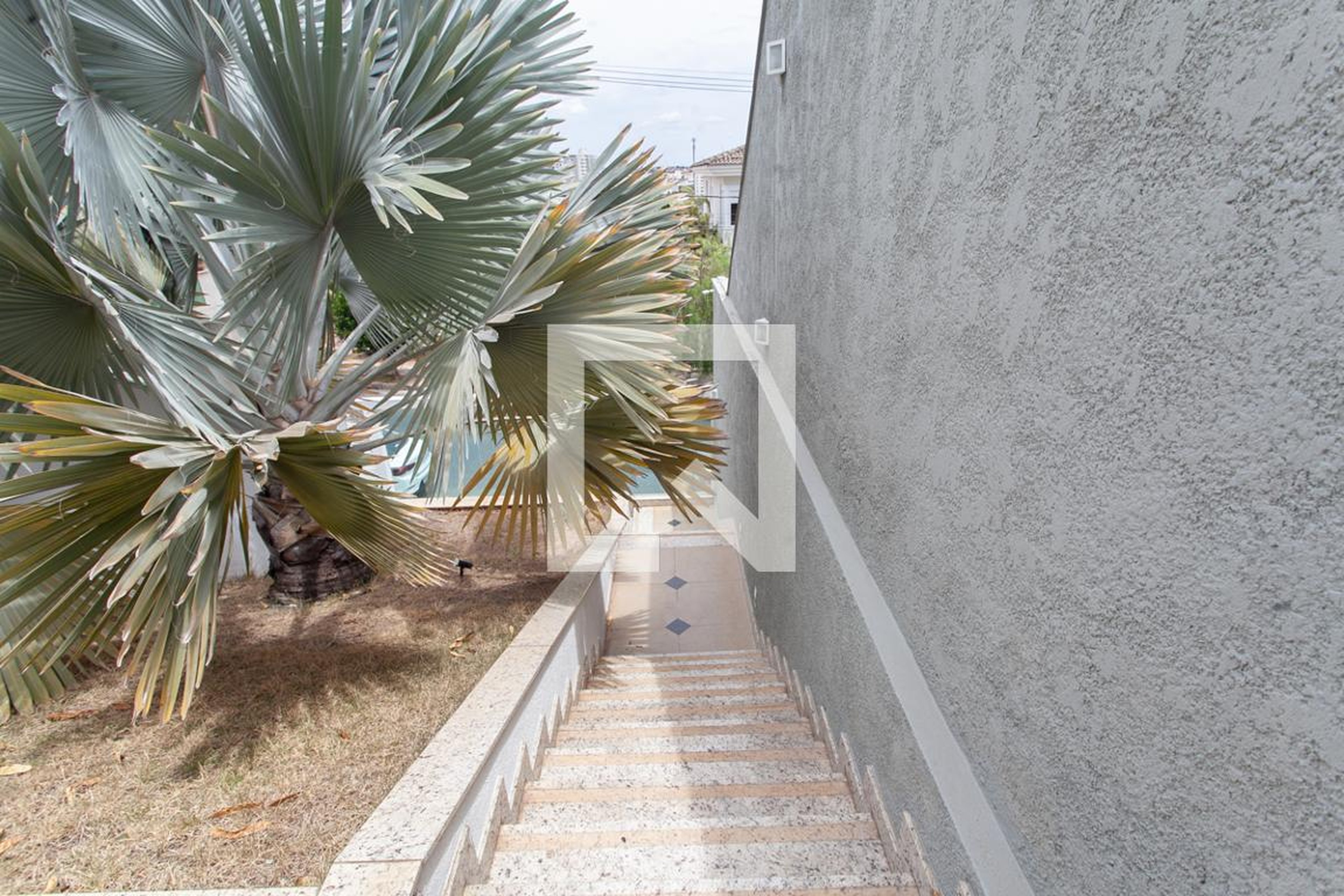 Entrada - 