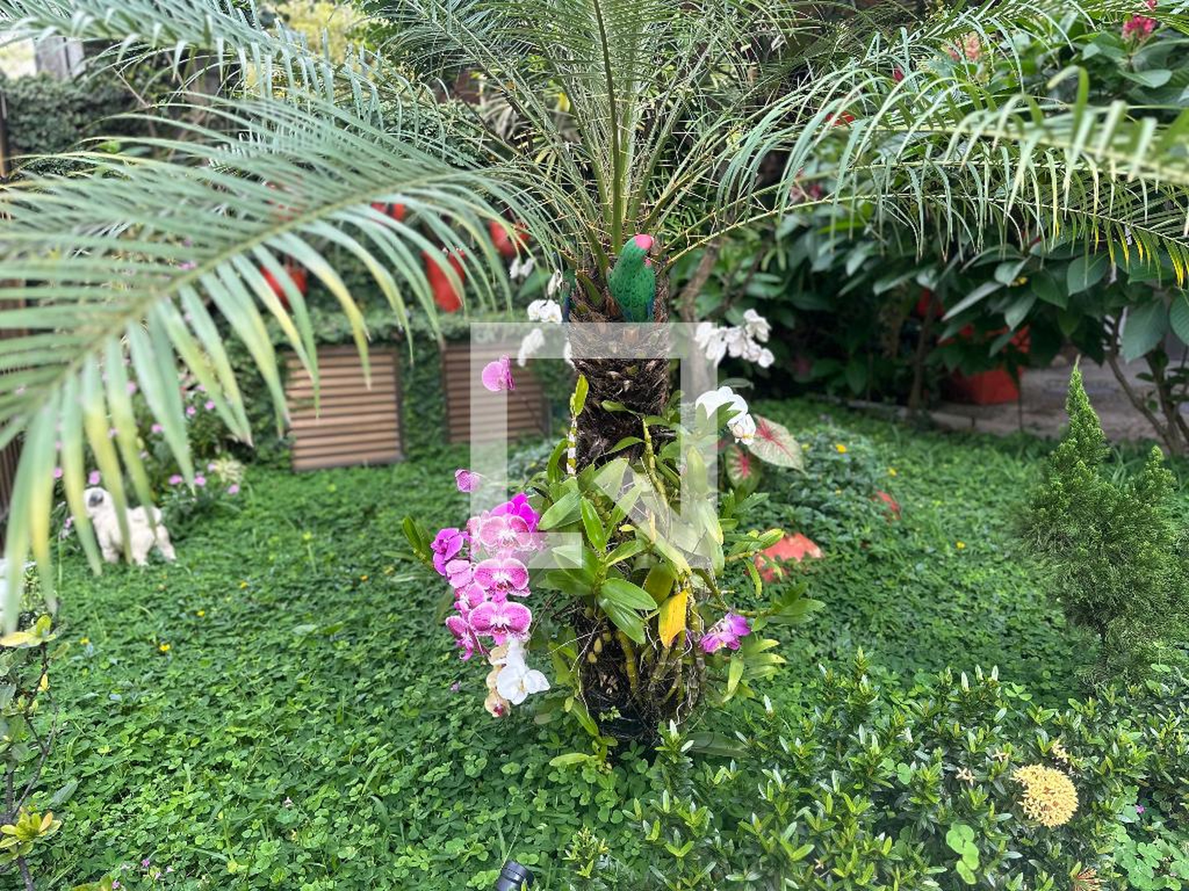 Fachada Edifício Costa do Fogo