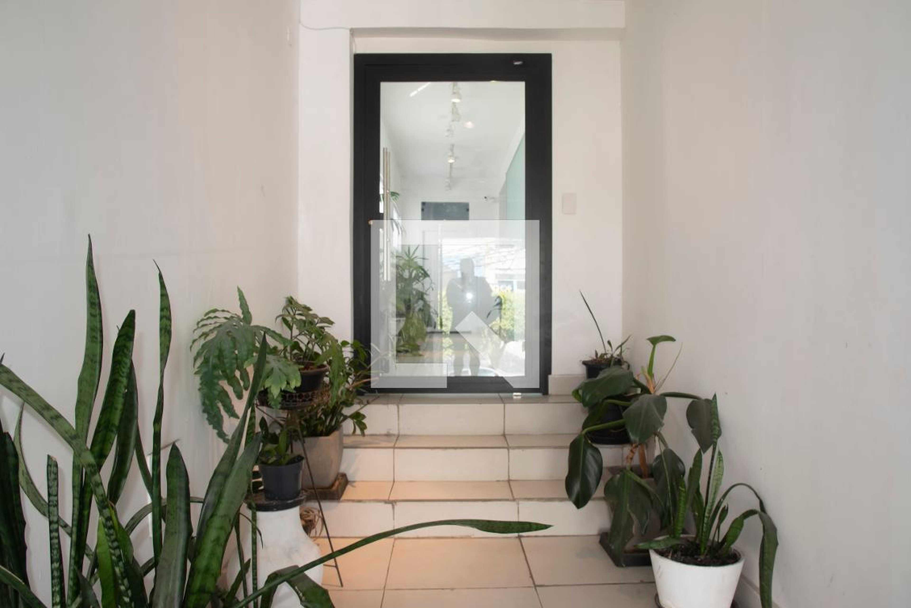 Hall de entrada - Luís Góis