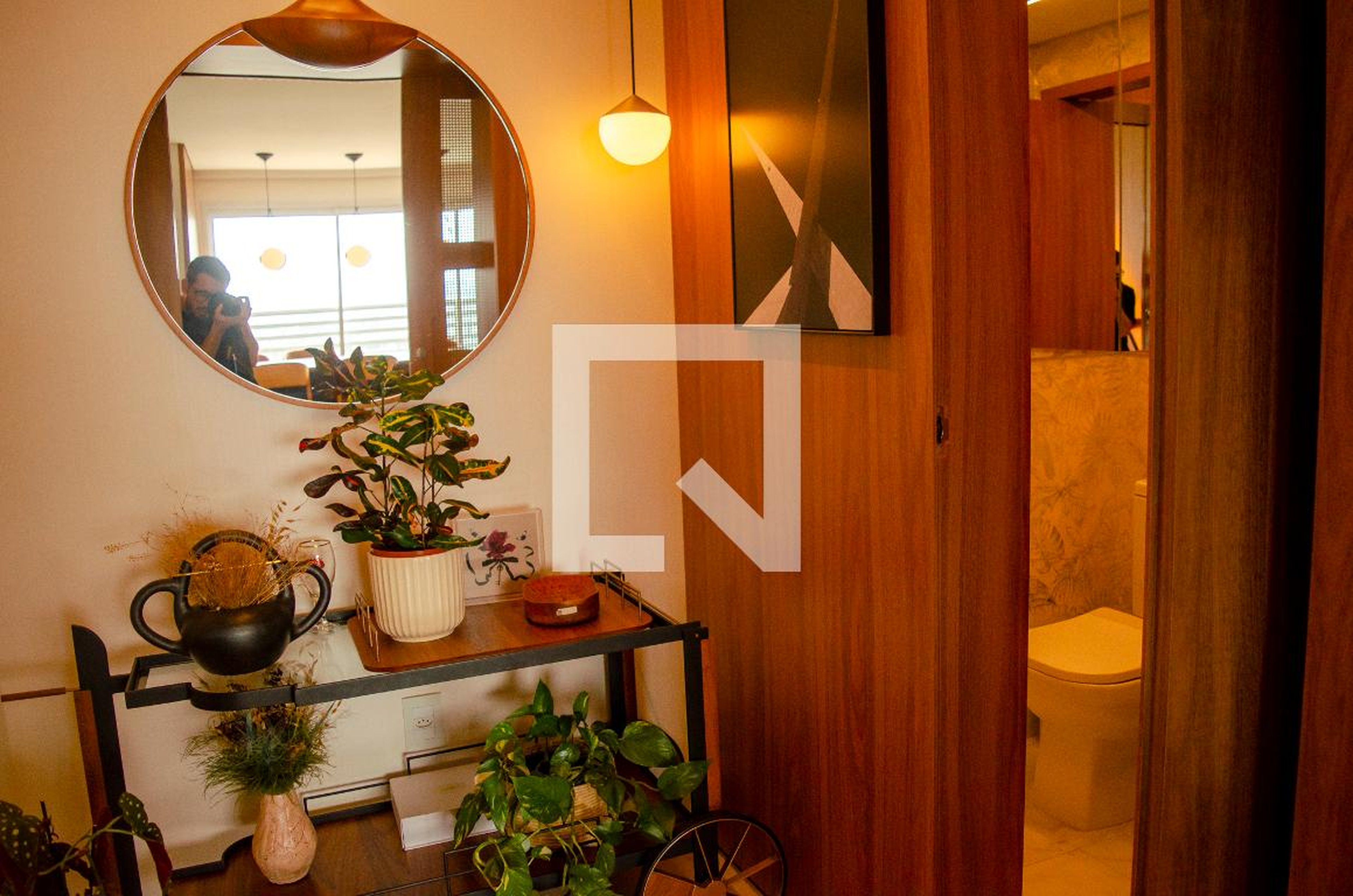 Hall - Celebrate Vaca Brava