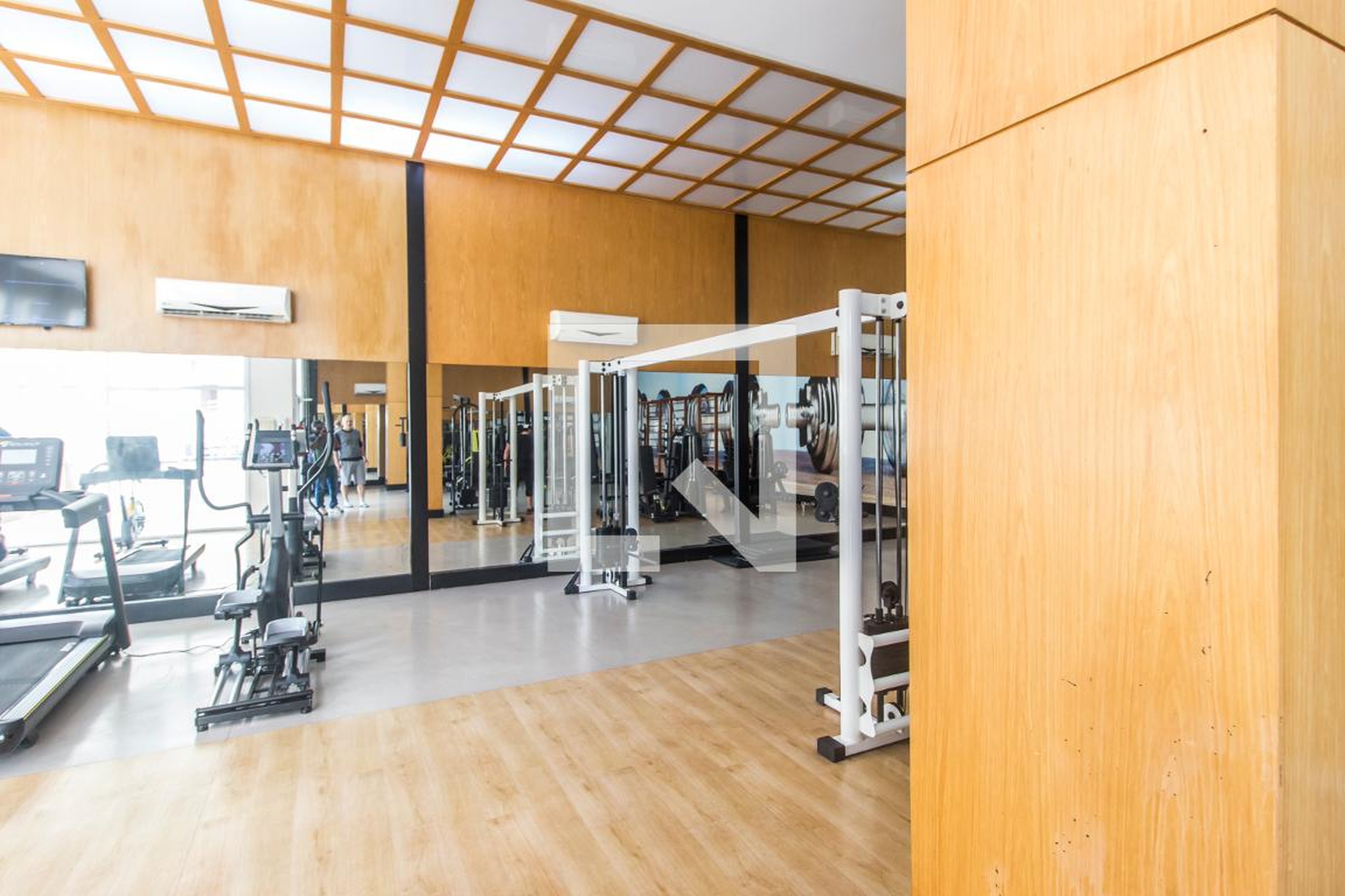 Academia - Alpha Garden