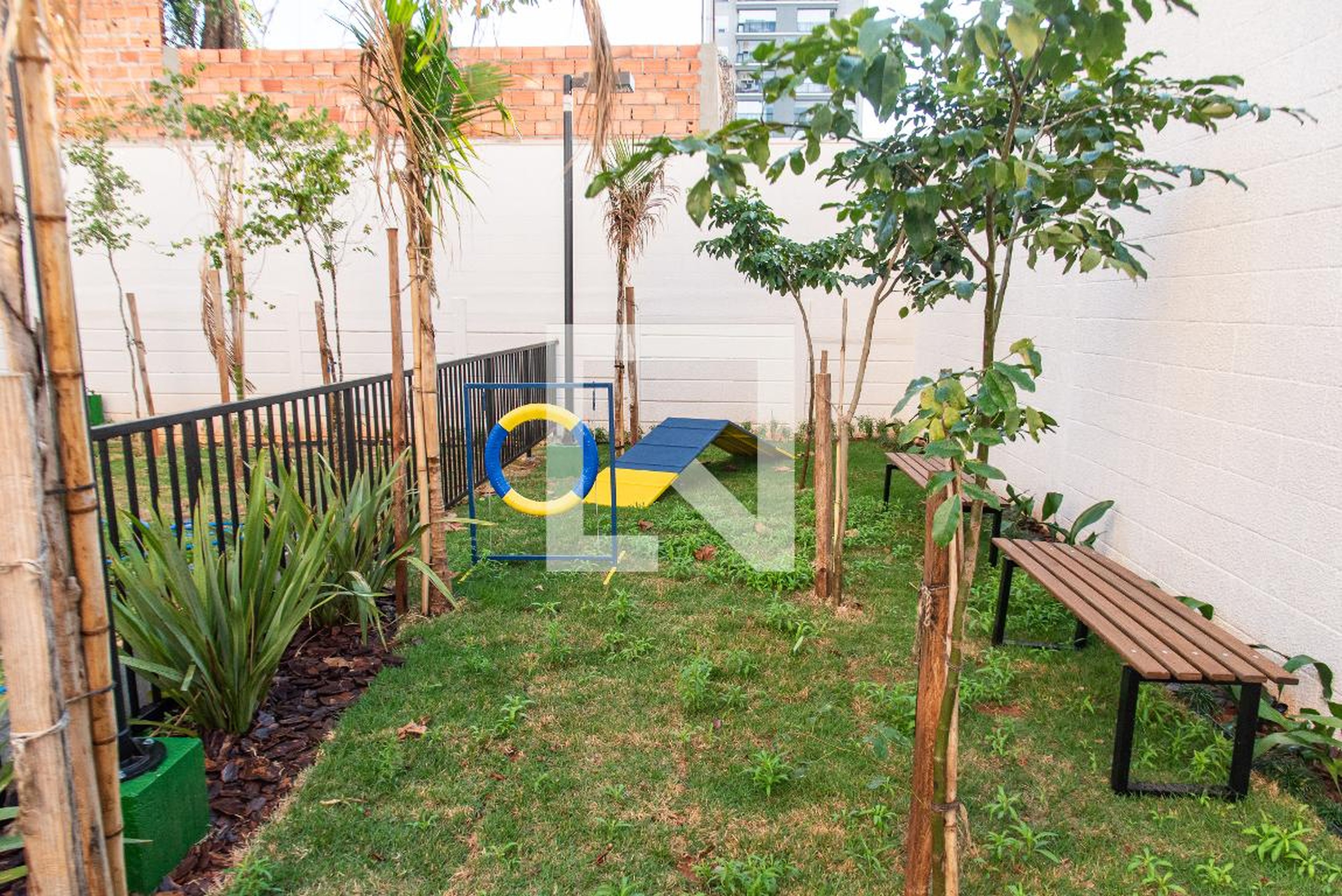 Espaço pet - Lançamento Bueno Ipiranga