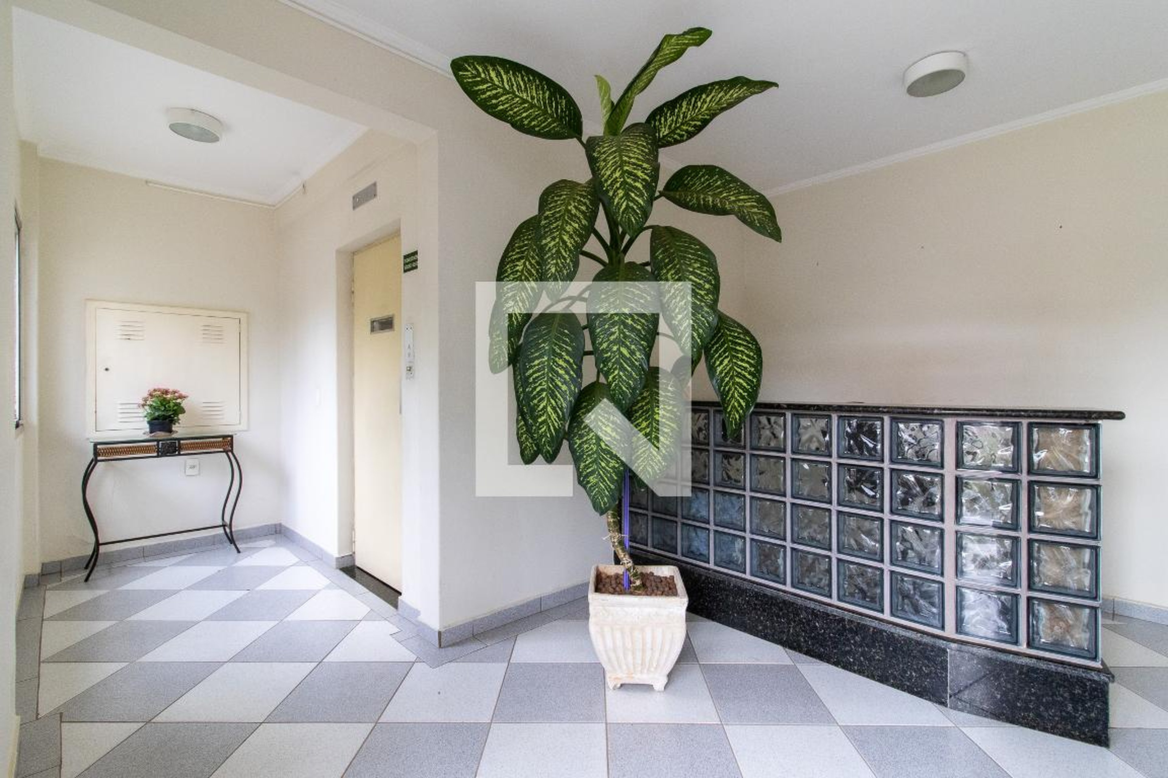 Hall de entrada - Mandala