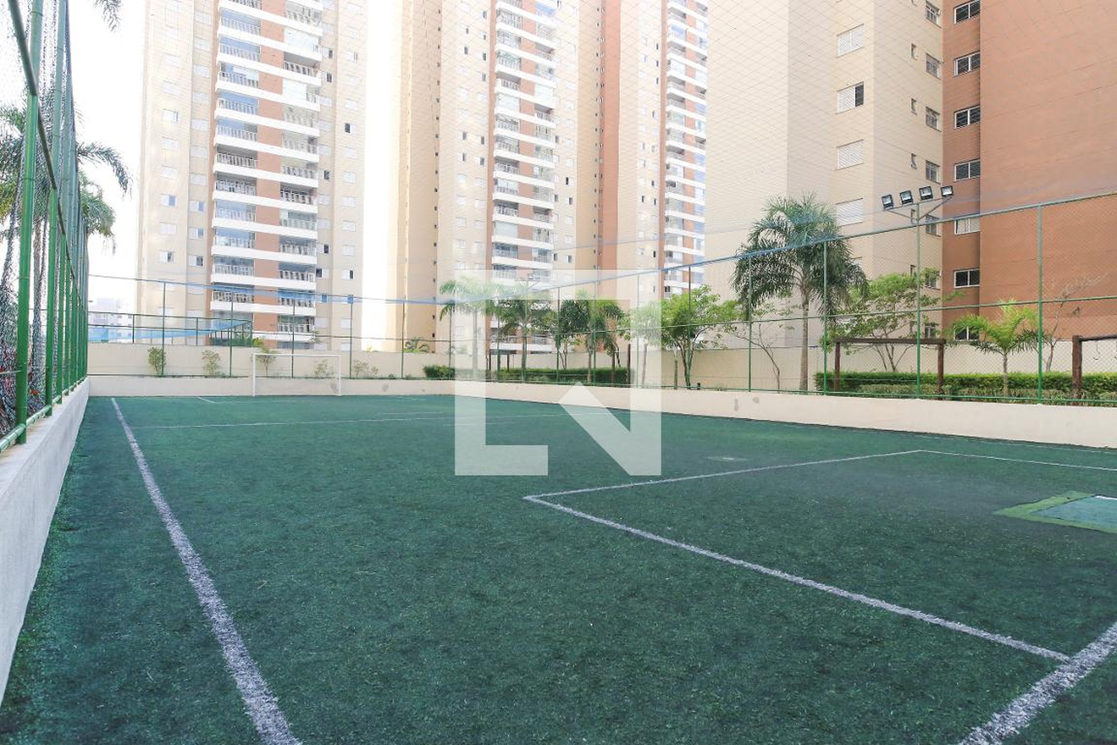 Quadra - Splendor Blue